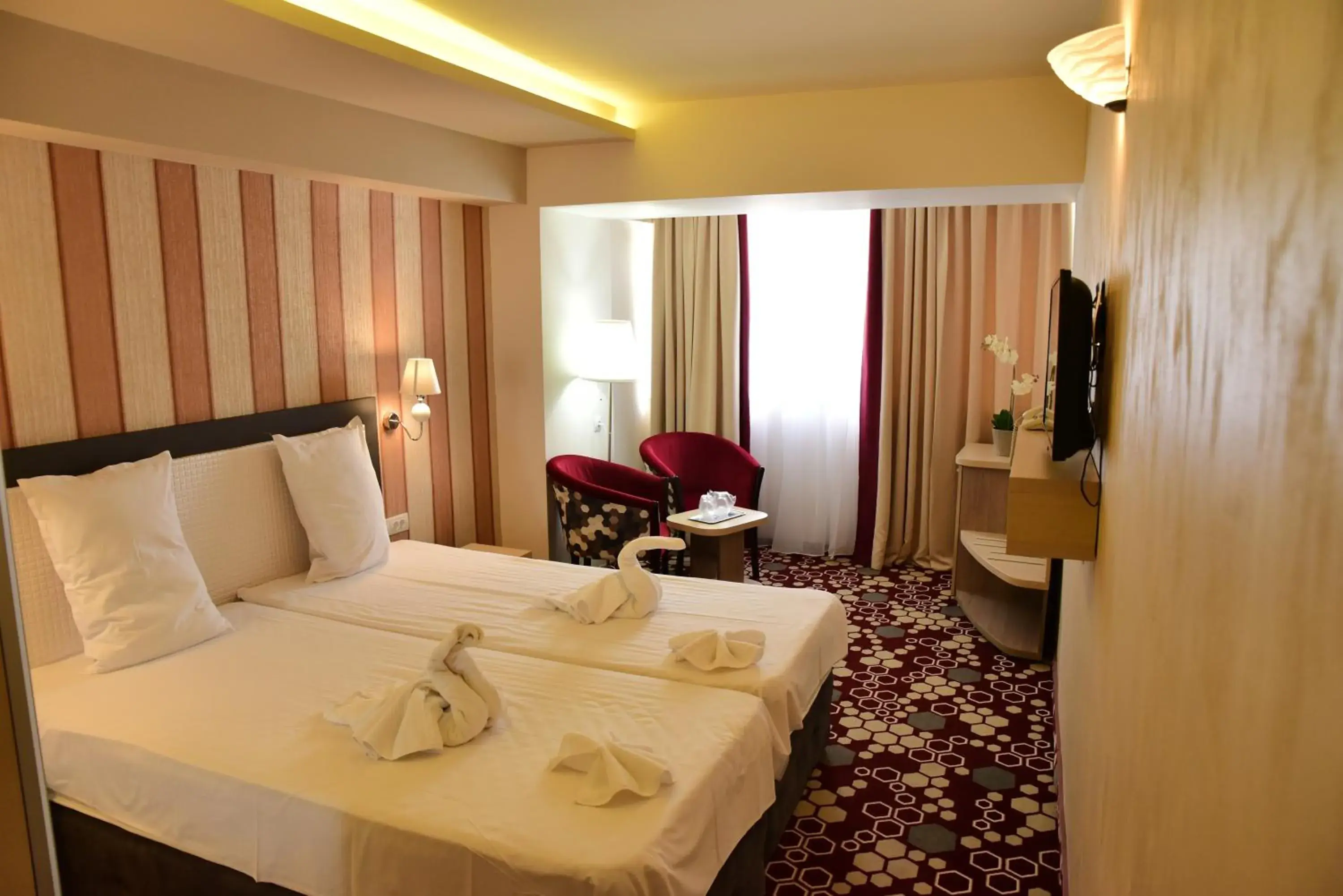 Double  Room or Twin Room in Hotel Craiovita