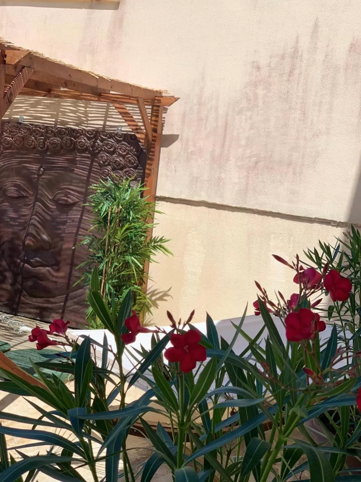 Garden in Appart'Hôtel Auxerre