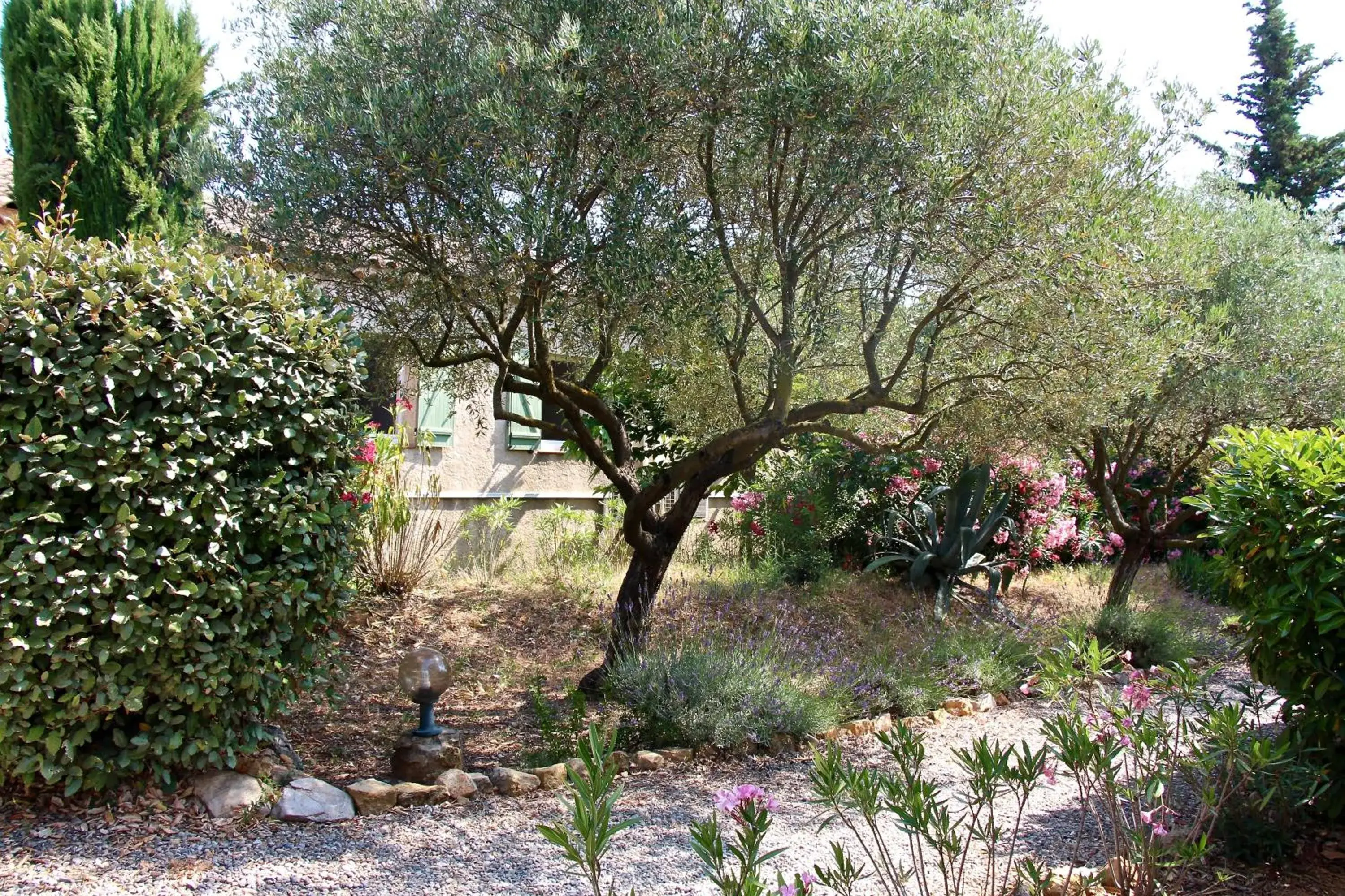 Garden in Hotel Les Oliviers