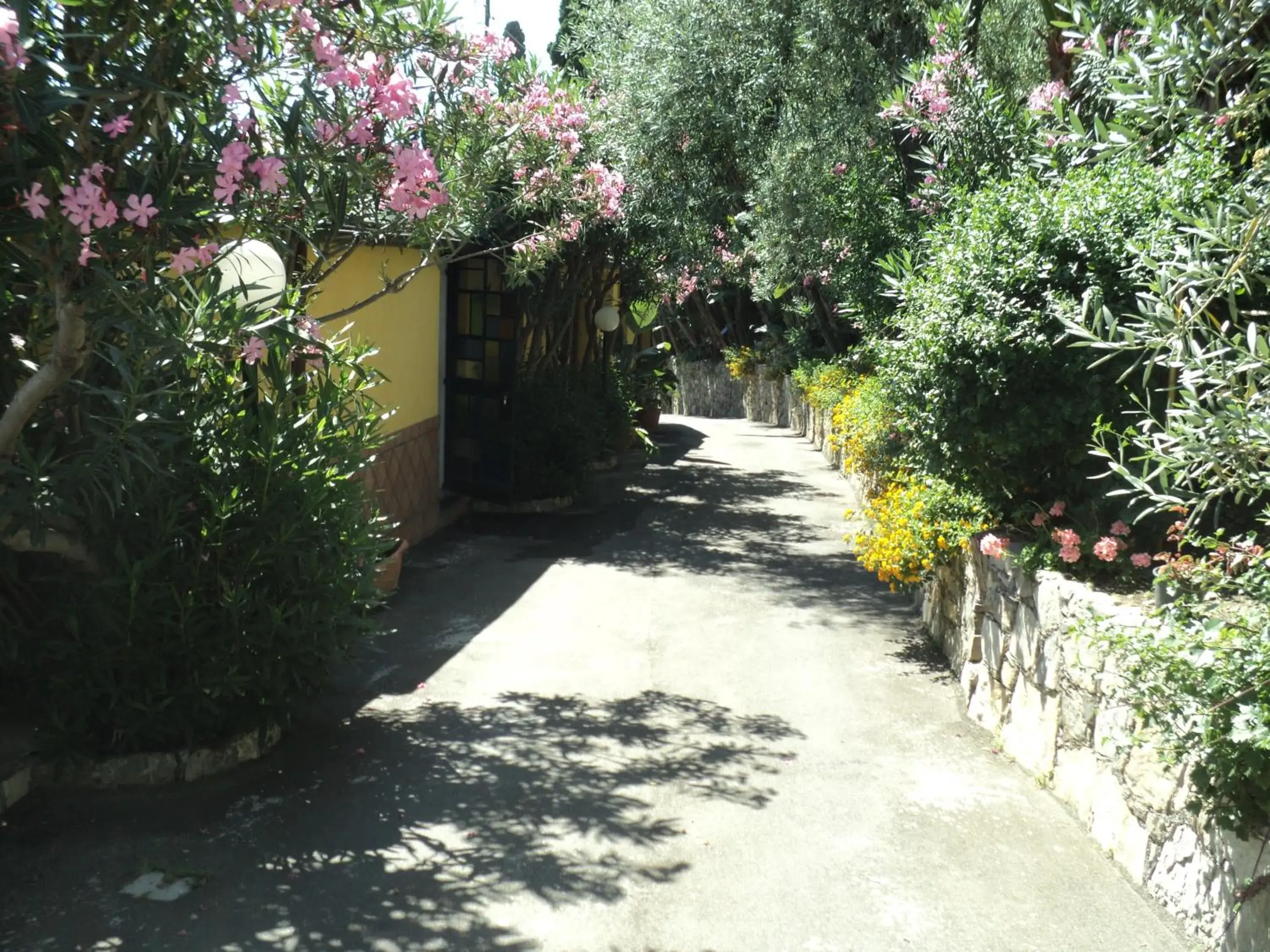 Garden in Hotel Baia Delle Sirene