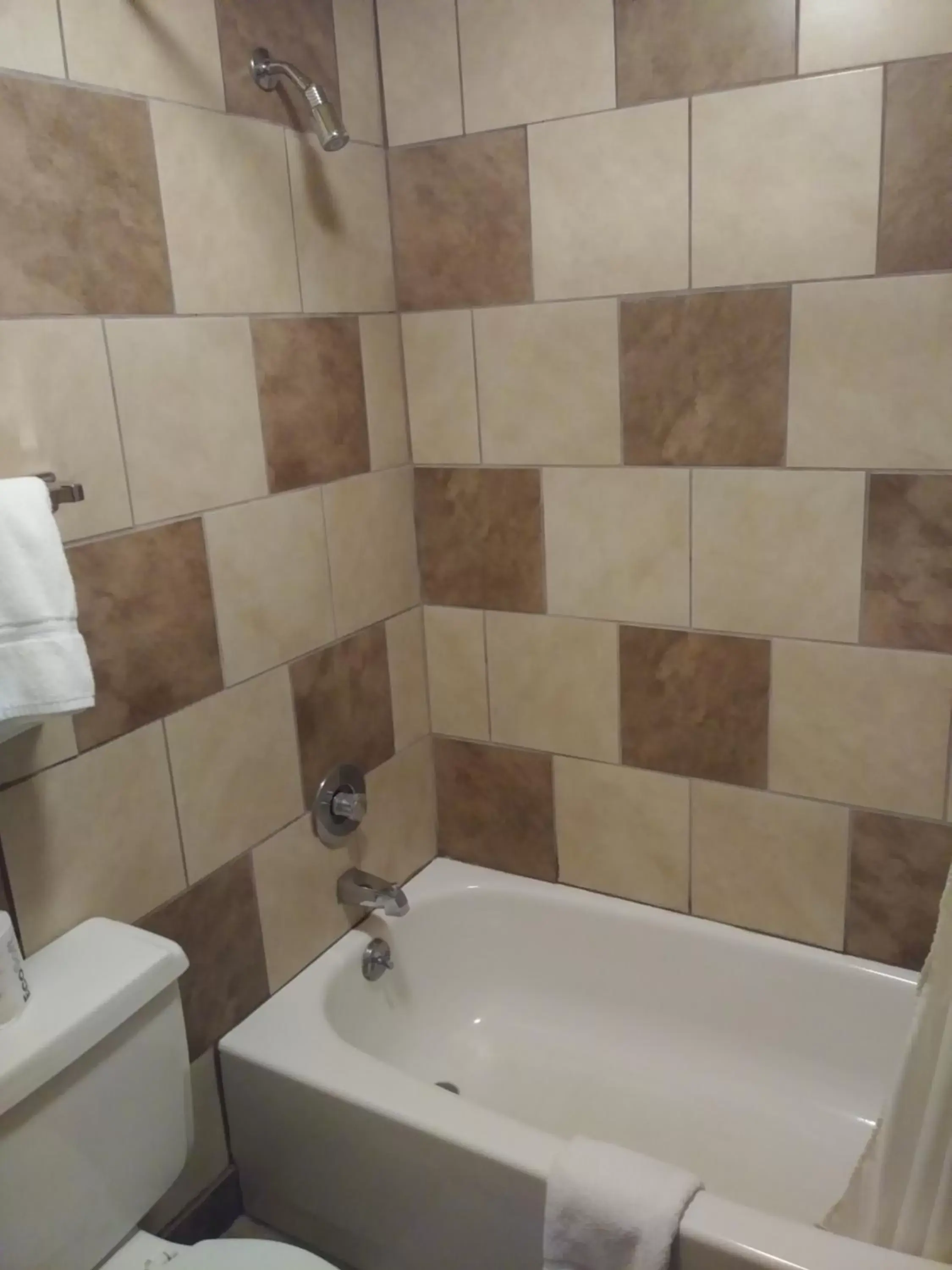 Toilet, Bathroom in The Sturgis Motel