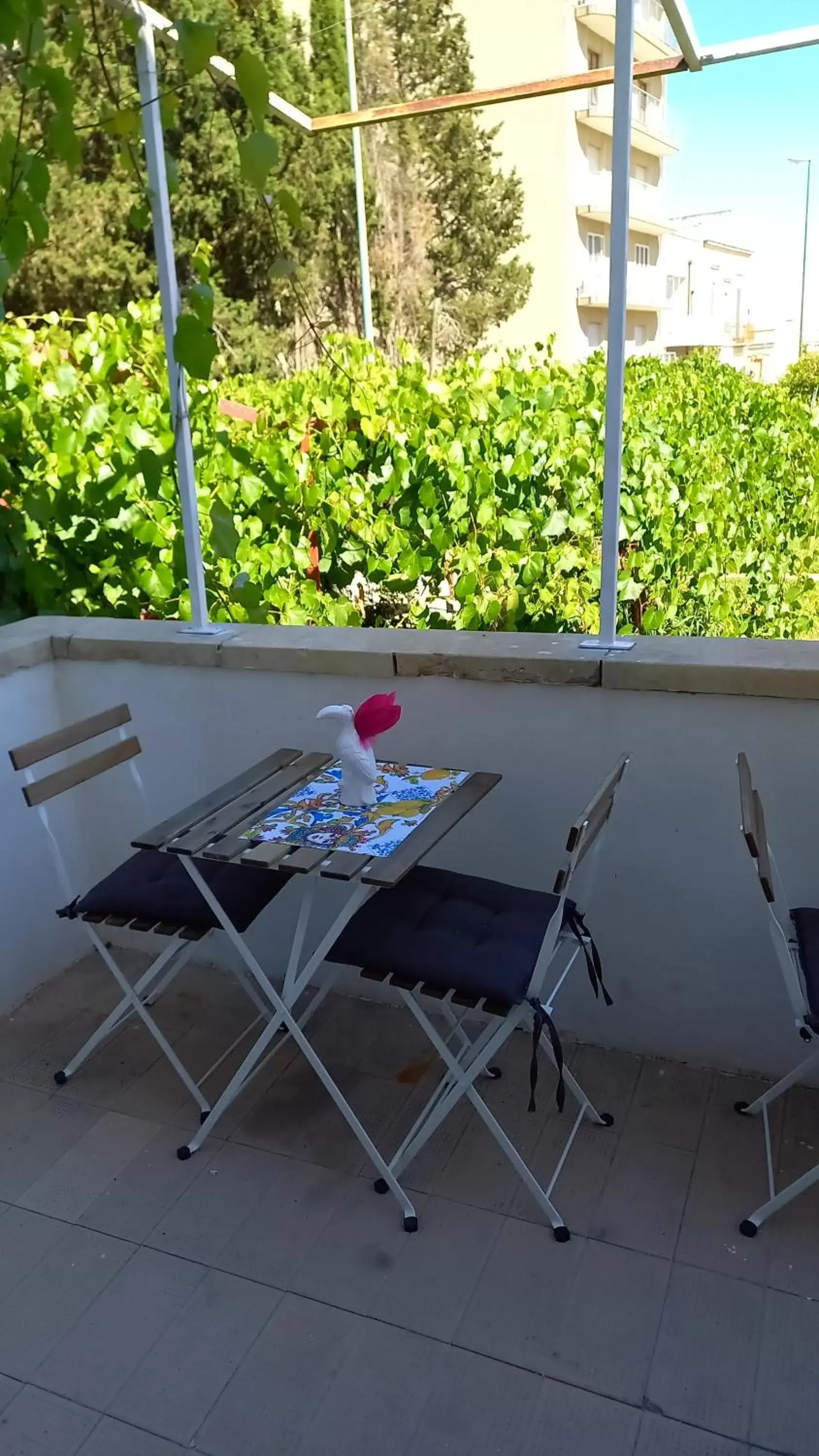 Garden, Balcony/Terrace in Palazzo Baffa