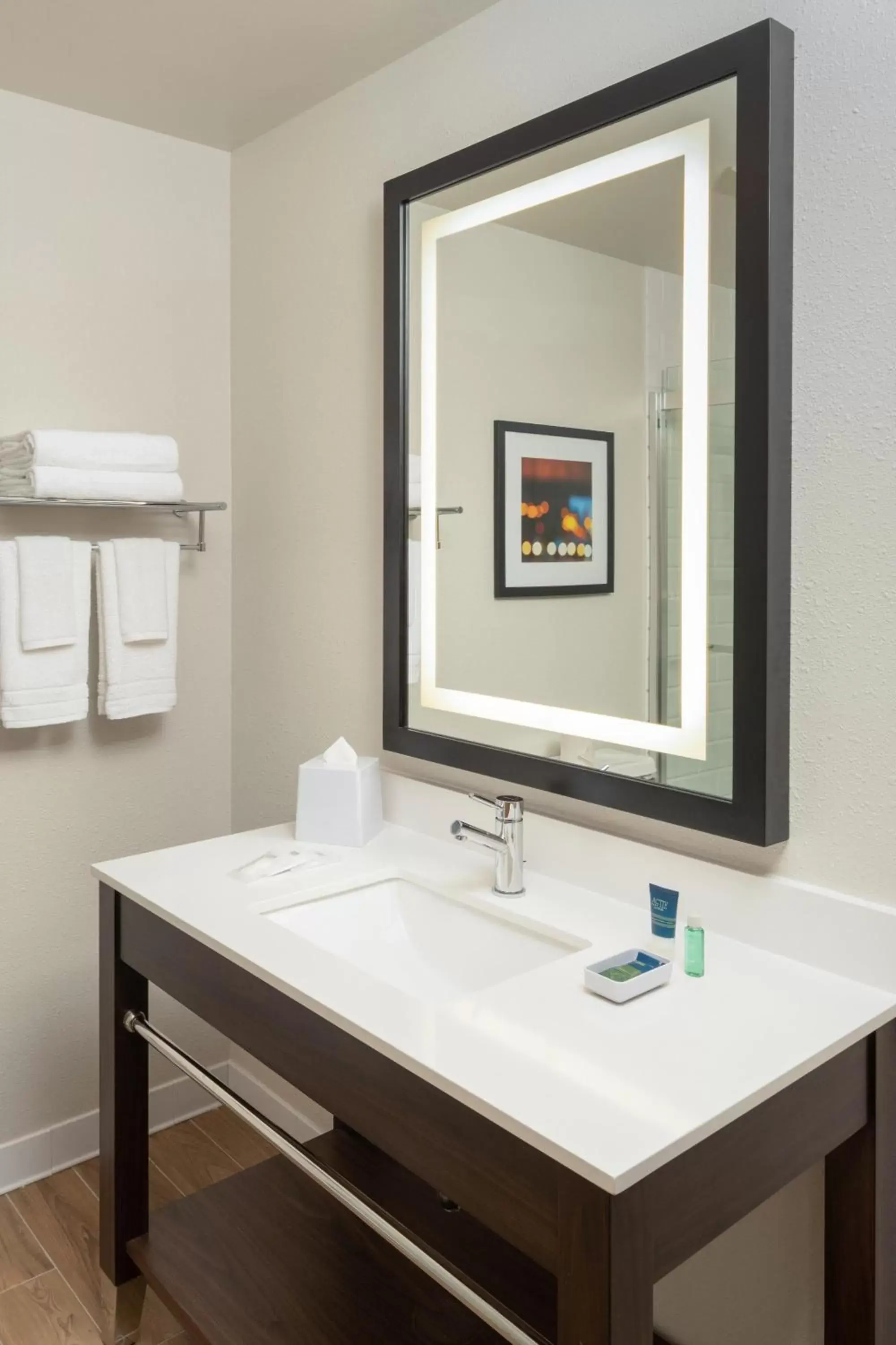 Bathroom in Four Points by Sheraton Chicago Schaumburg