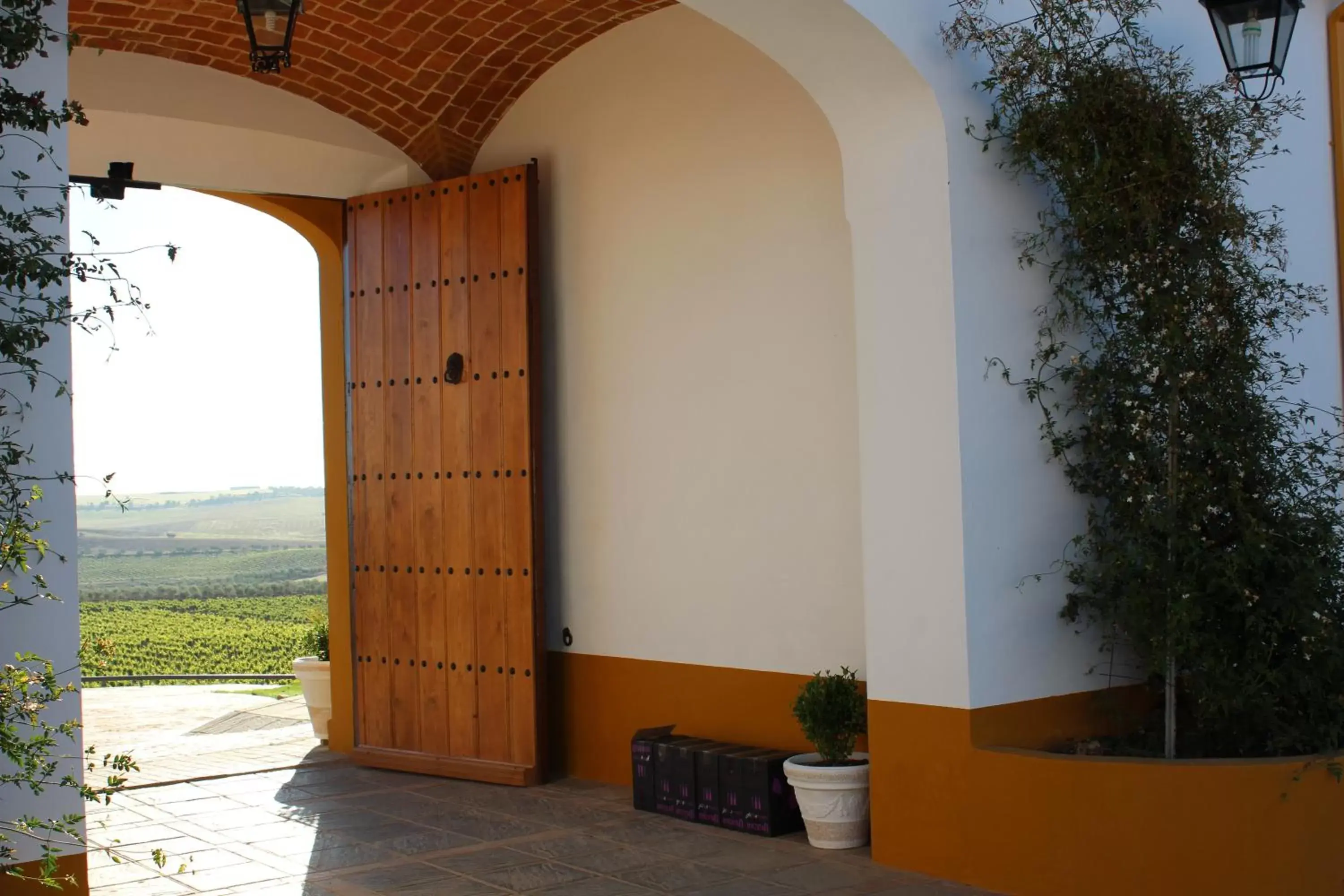 Natural landscape in Hotel Bodega el Moral