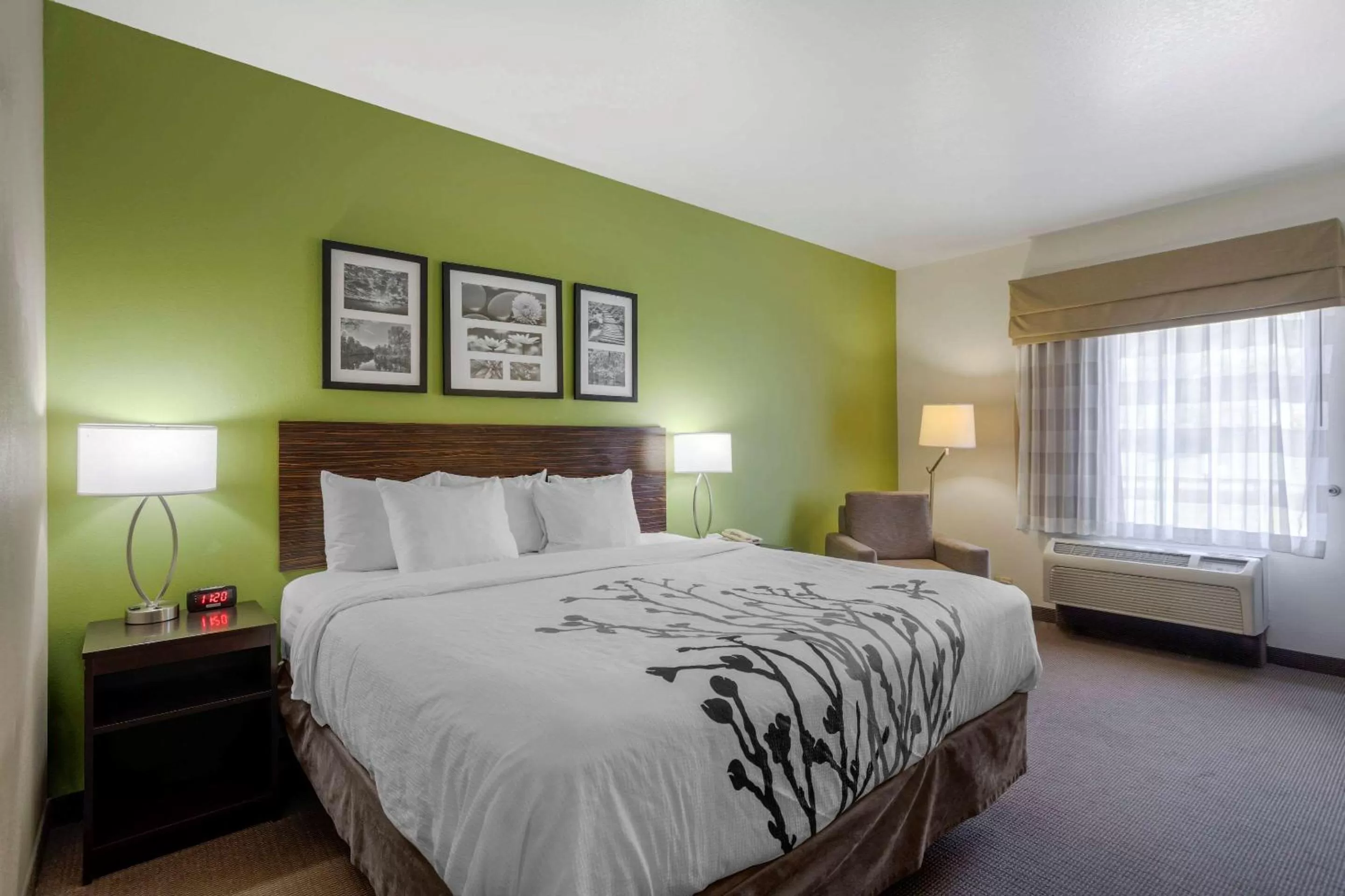 Standard King Room - Non-Smoking  in Sleep Inn & Suites Cave City