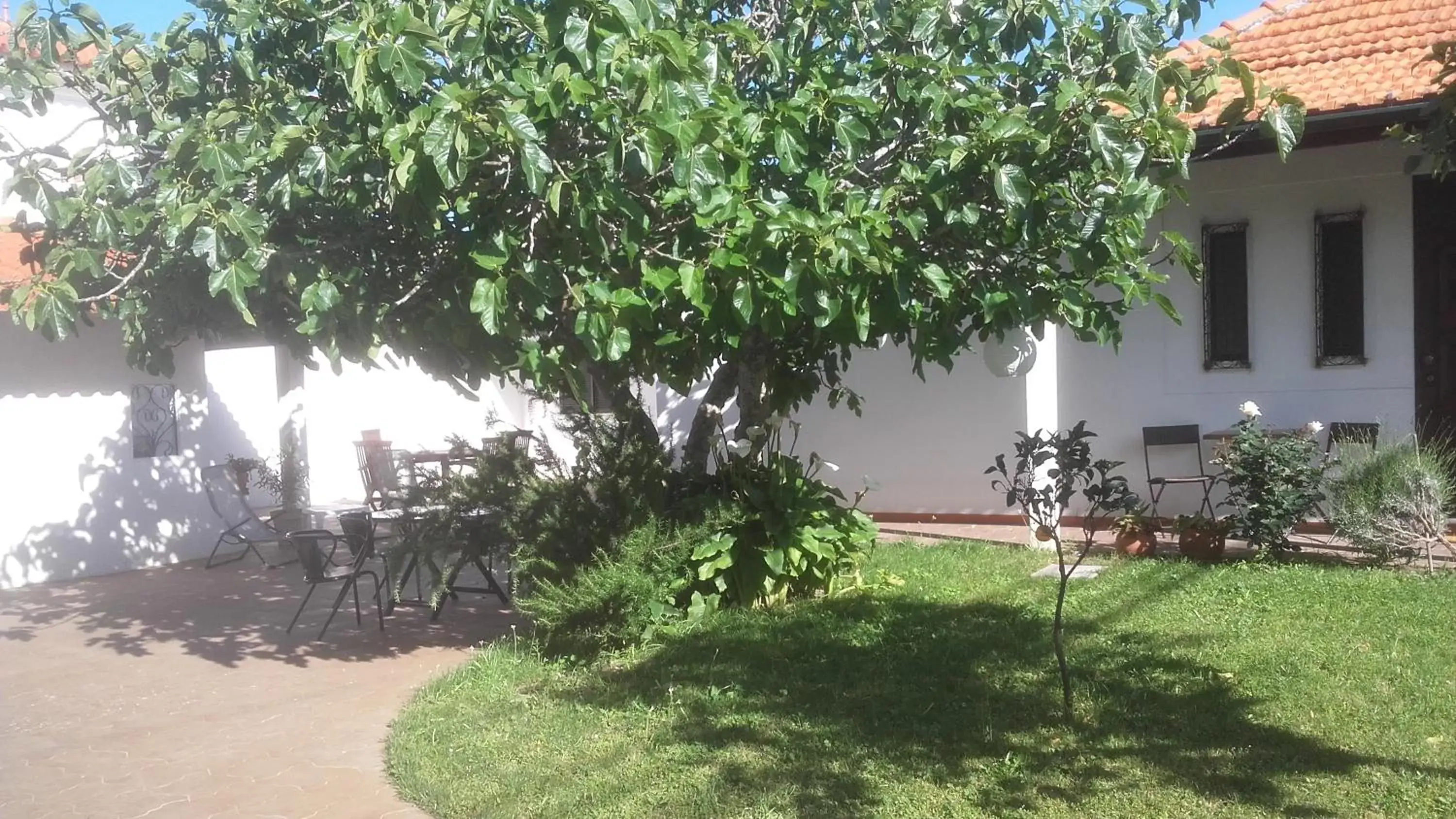 Patio, Garden in Casa dos Pingos de Mel