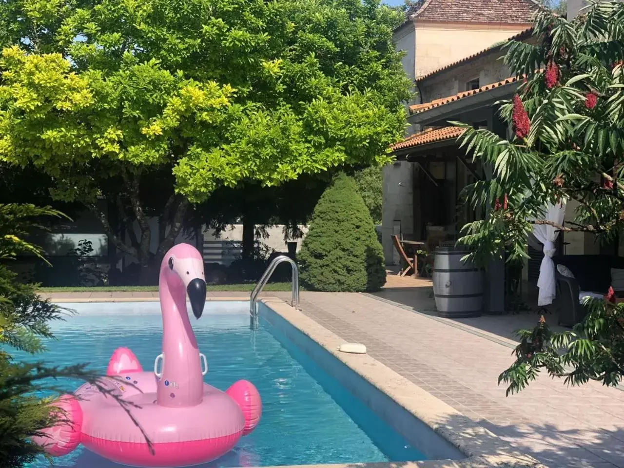 Swimming Pool in Château la Moune