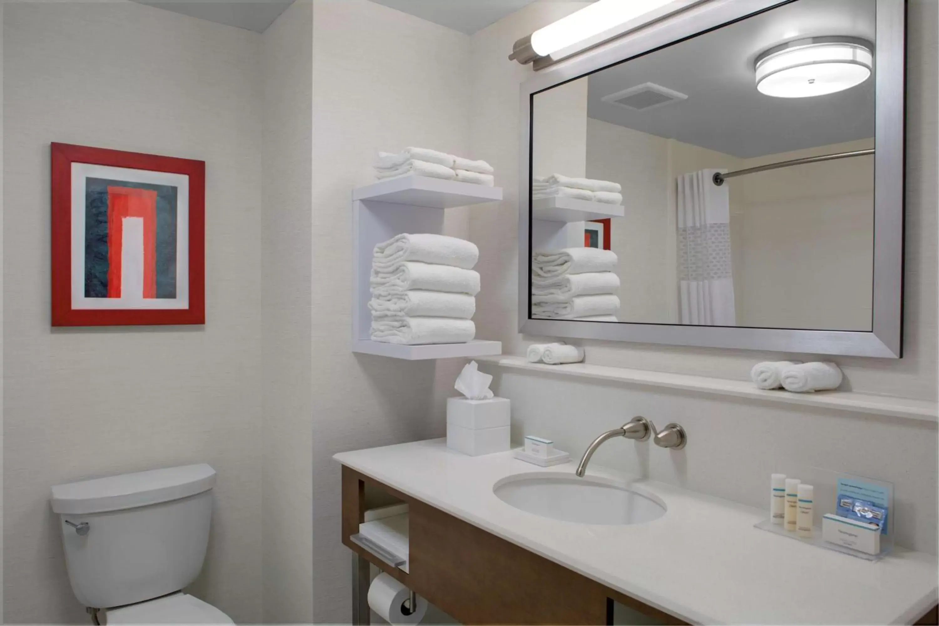 Bathroom in Hampton Inn & Suites Columbus Scioto Downs