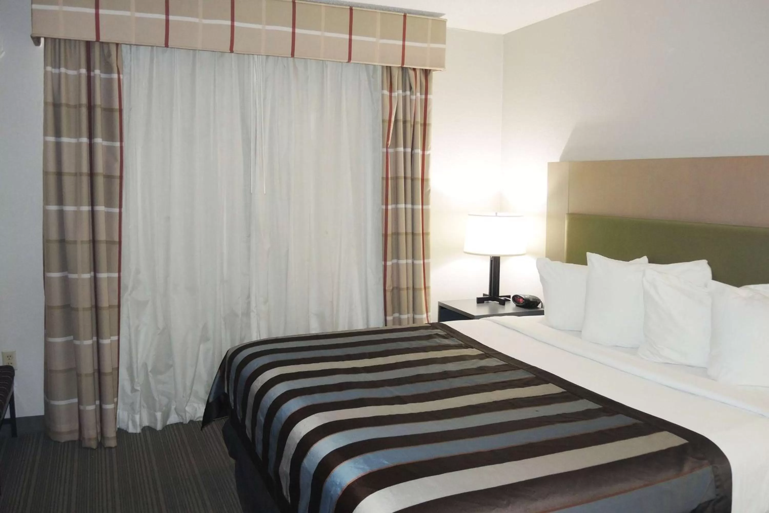 Photo of the whole room, Bed in Wingate by Wyndham Matthews - Charlotte