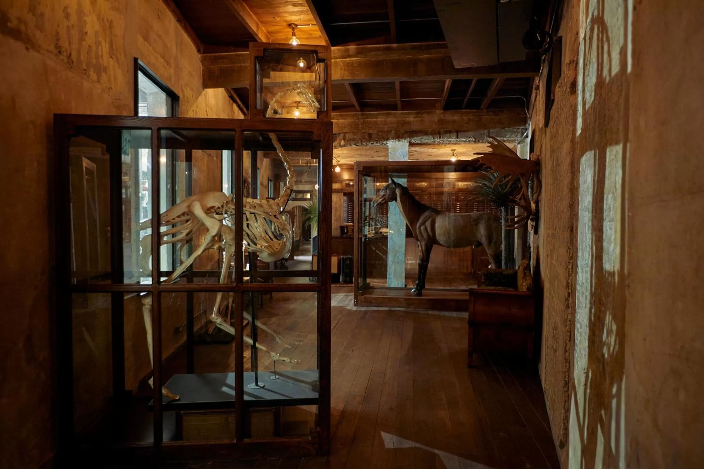 Lobby or reception in The Mustang Blu