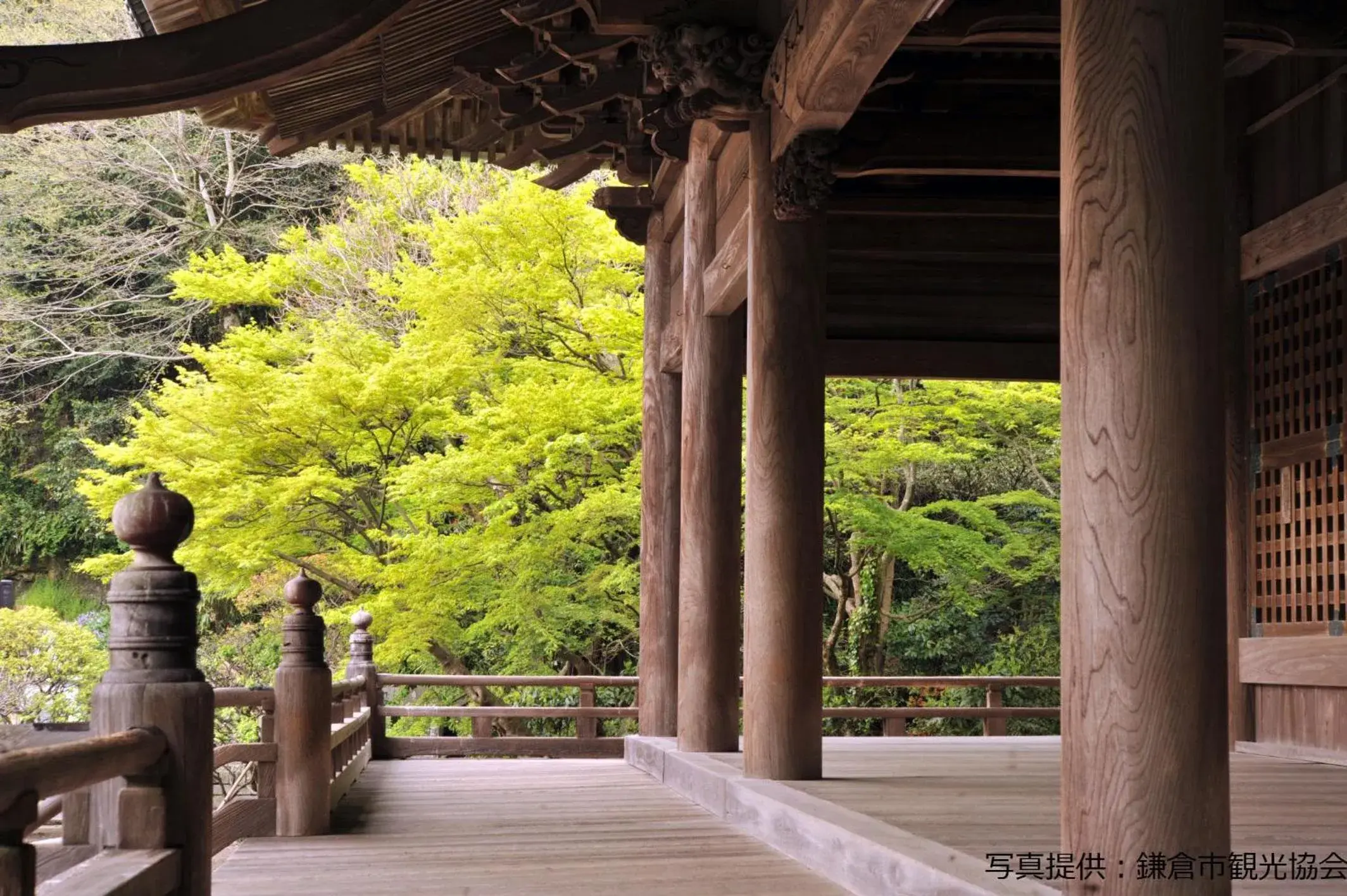 Nearby landmark in Sotetsu Fresa Inn Kamakura-Ofuna Higashiguchi