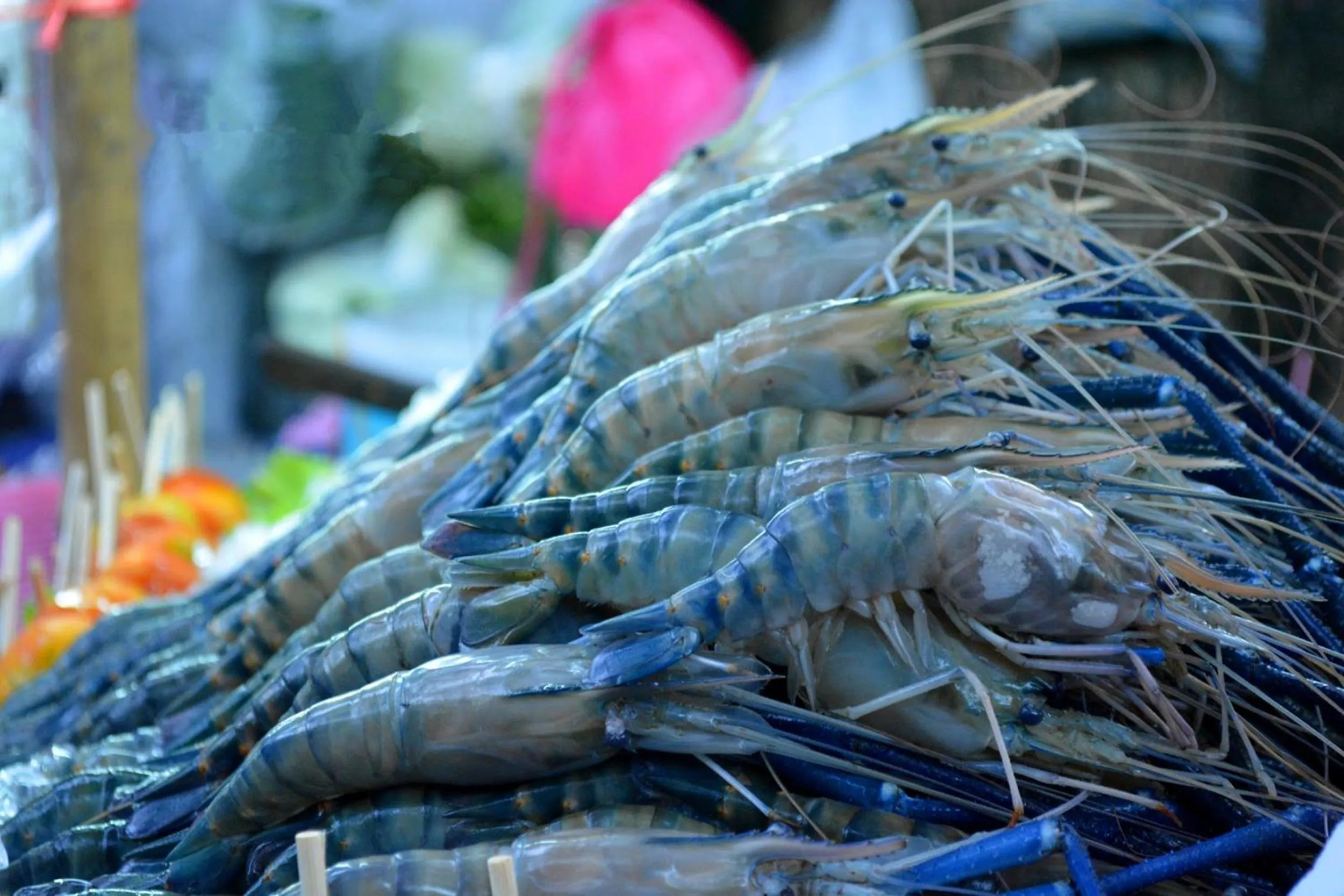 Restaurant/places to eat in Hotel Time Boutique Nilai