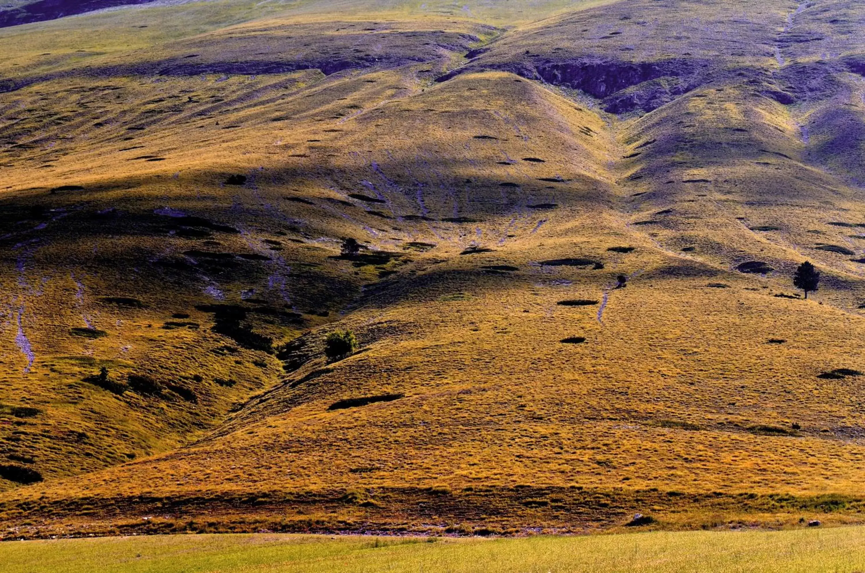 Natural landscape in Hotel Clarici