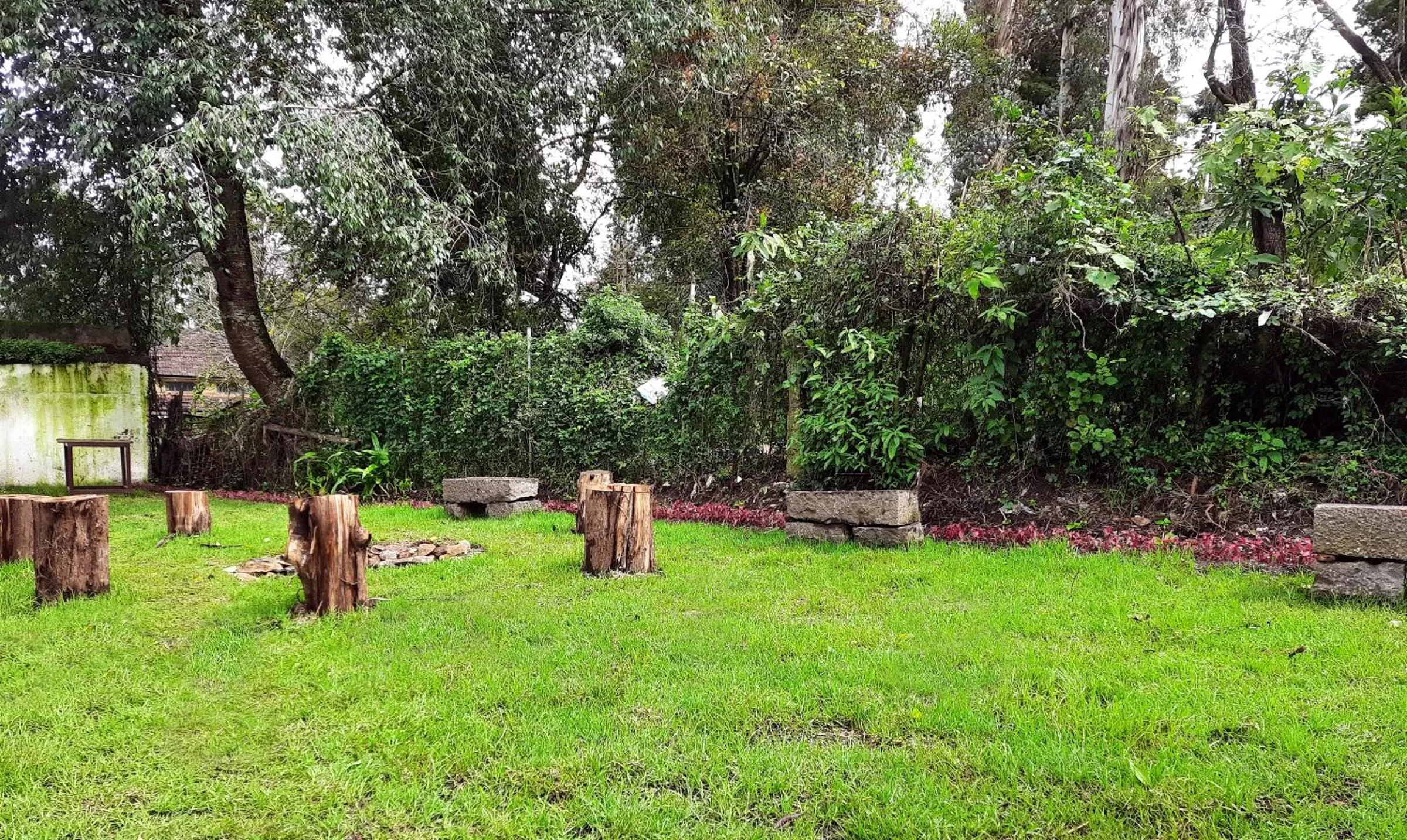 Garden in GRAND KODAI SR INN