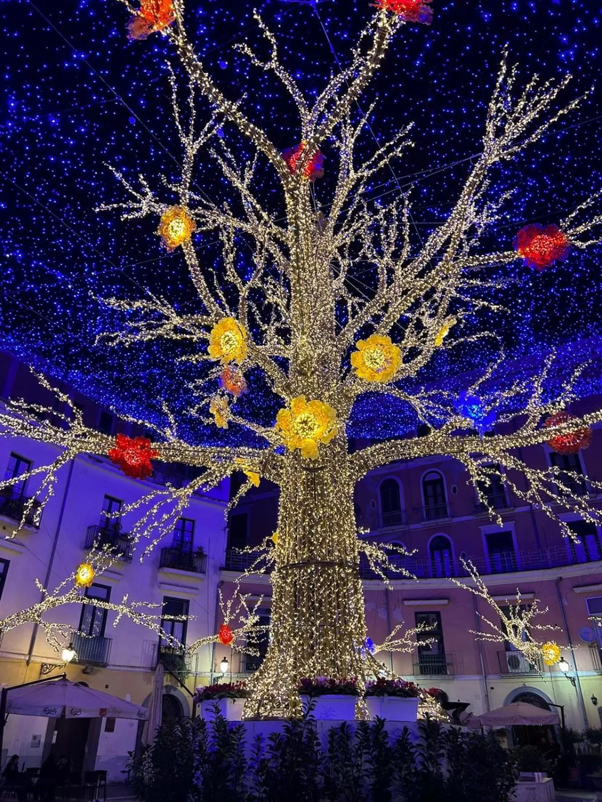 Night, Winter in TIZIANA'S HOUSE