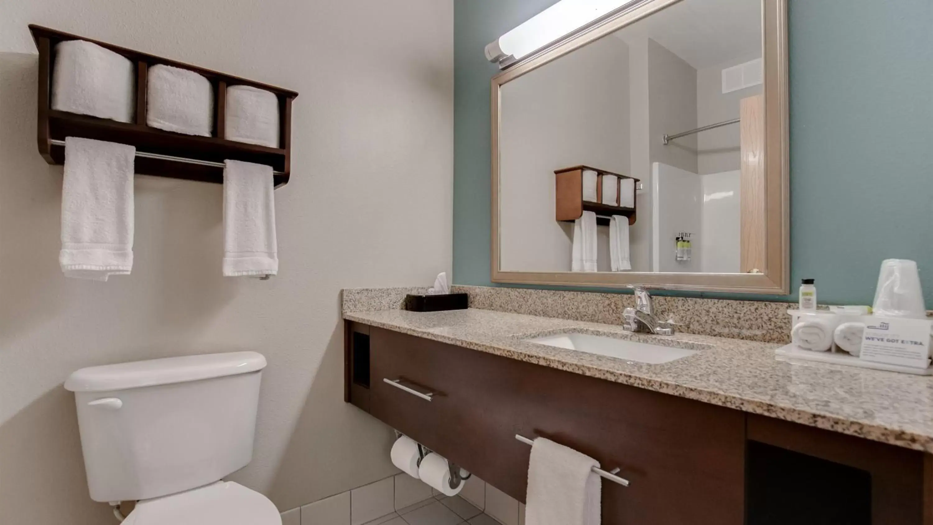 Bathroom in Holiday Inn Express and Suites St. Cloud, an IHG Hotel