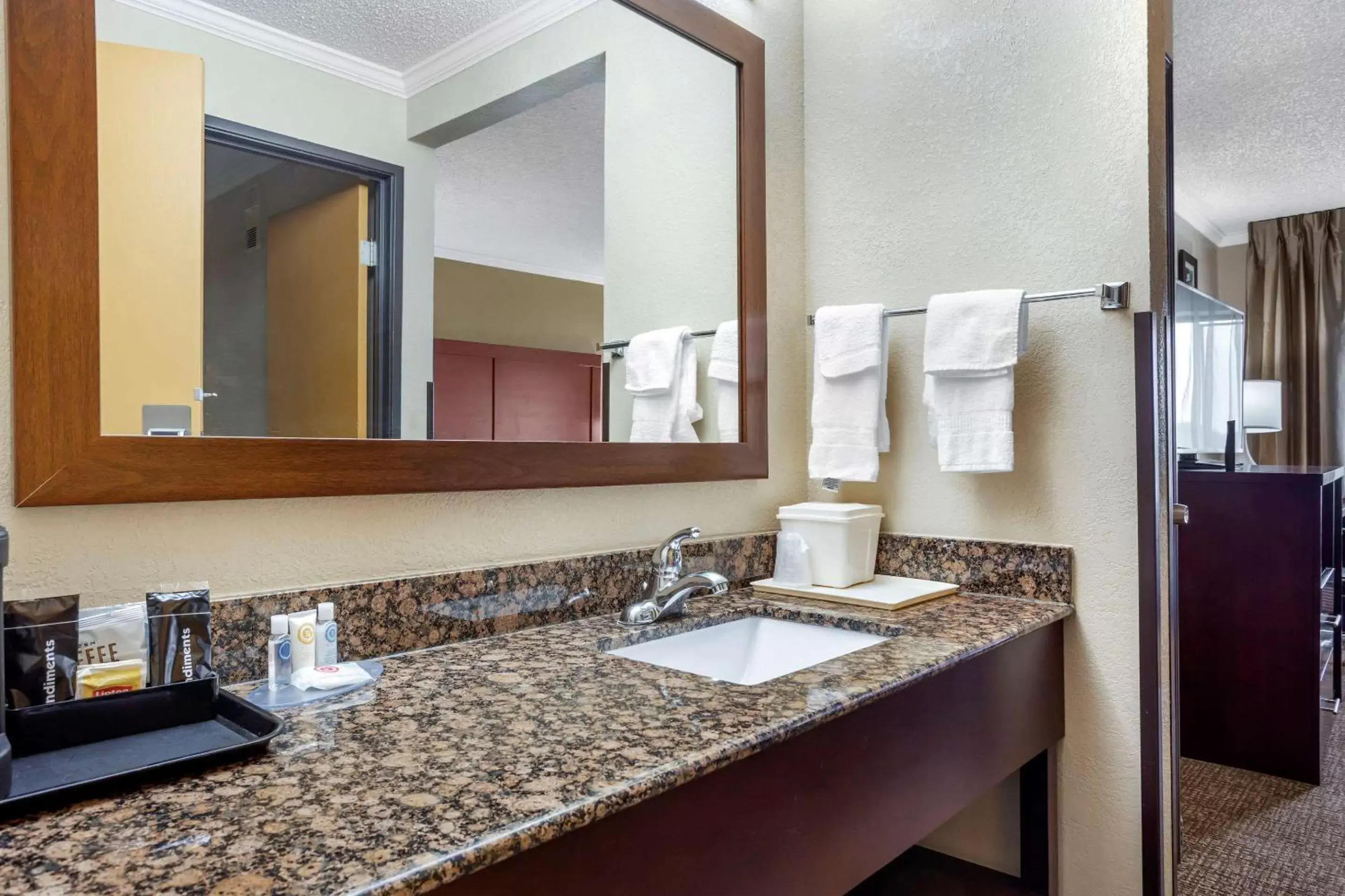 Bathroom in Comfort Inn Hoffman Estates – Schaumburg