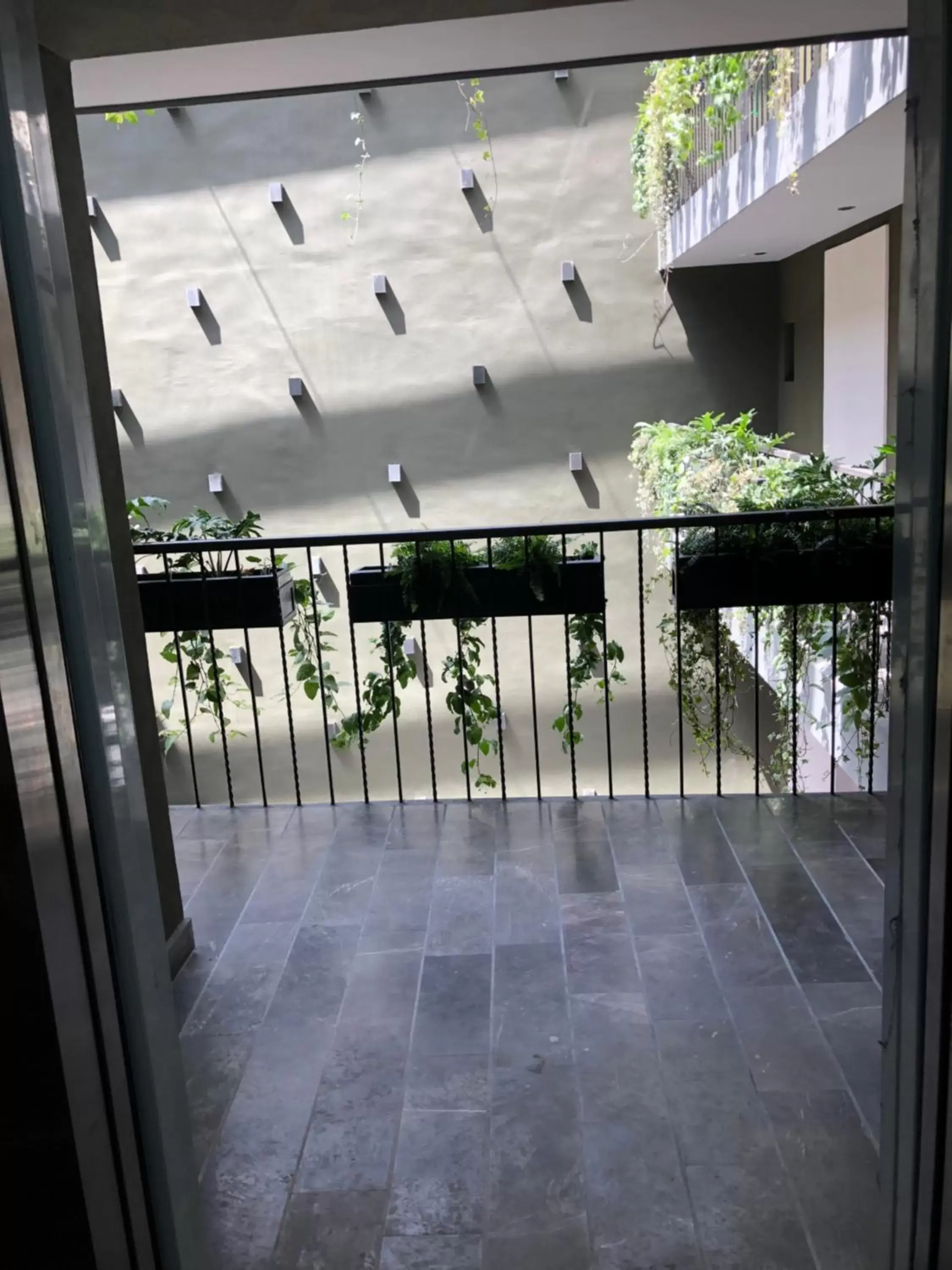 Balcony/Terrace in Hotel Isabel