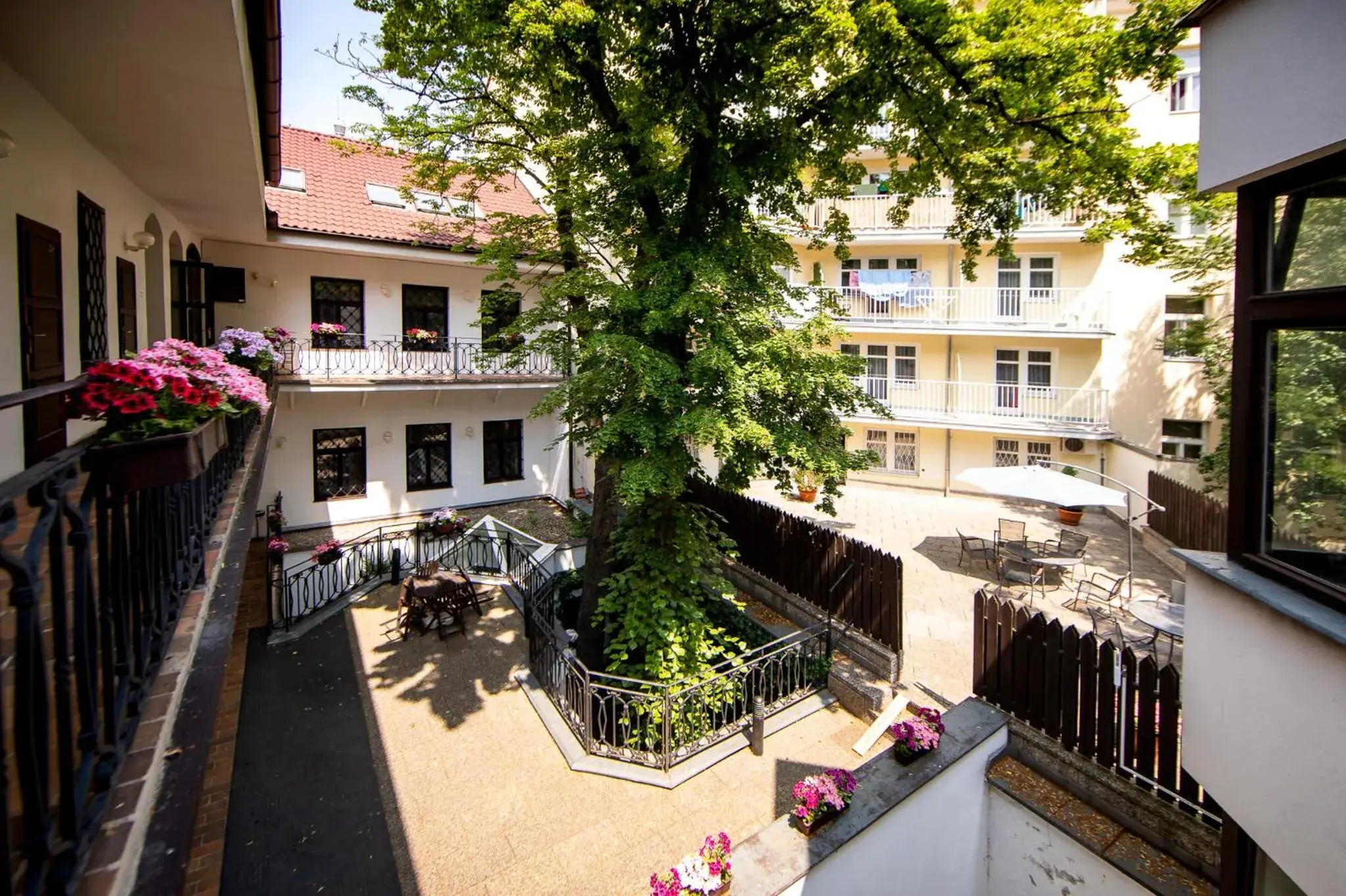 Garden, Property Building in Hotel Amadeus