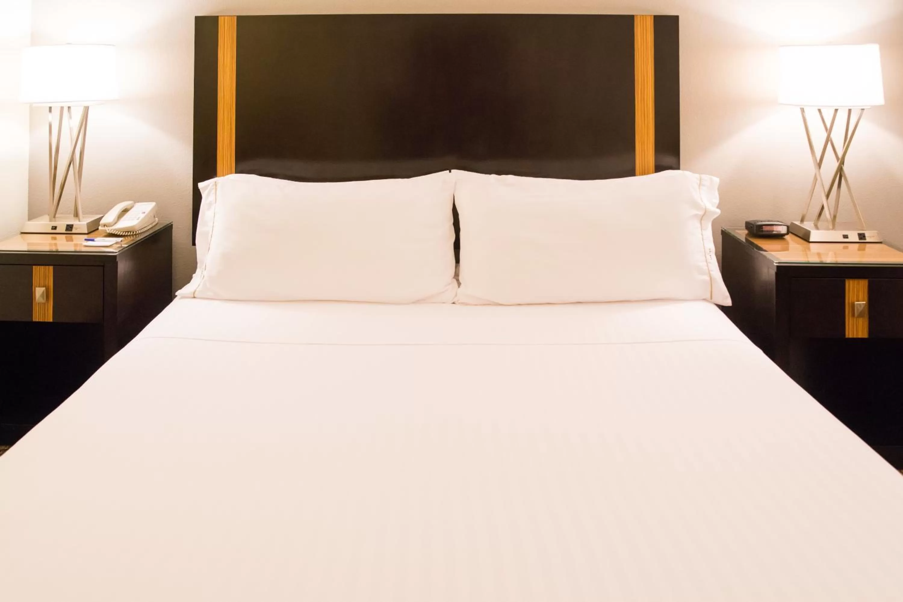 Executive King Room - Hearing Accessible - Non-Smoking in Holiday Inn Express Hotel & Suites Chanhassen, an IHG Hotel