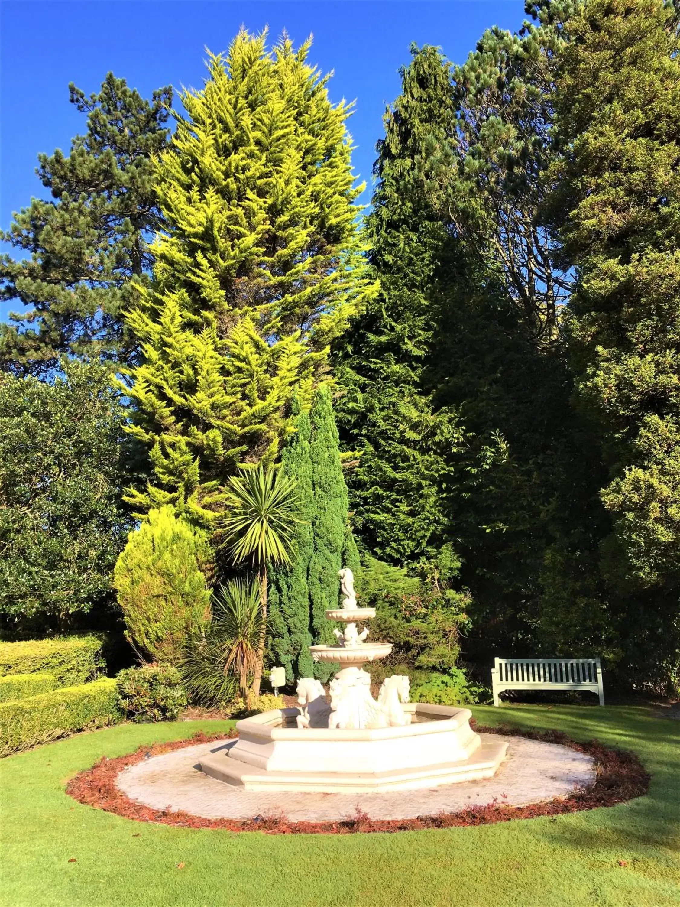 Garden in Astley Bank Hotel