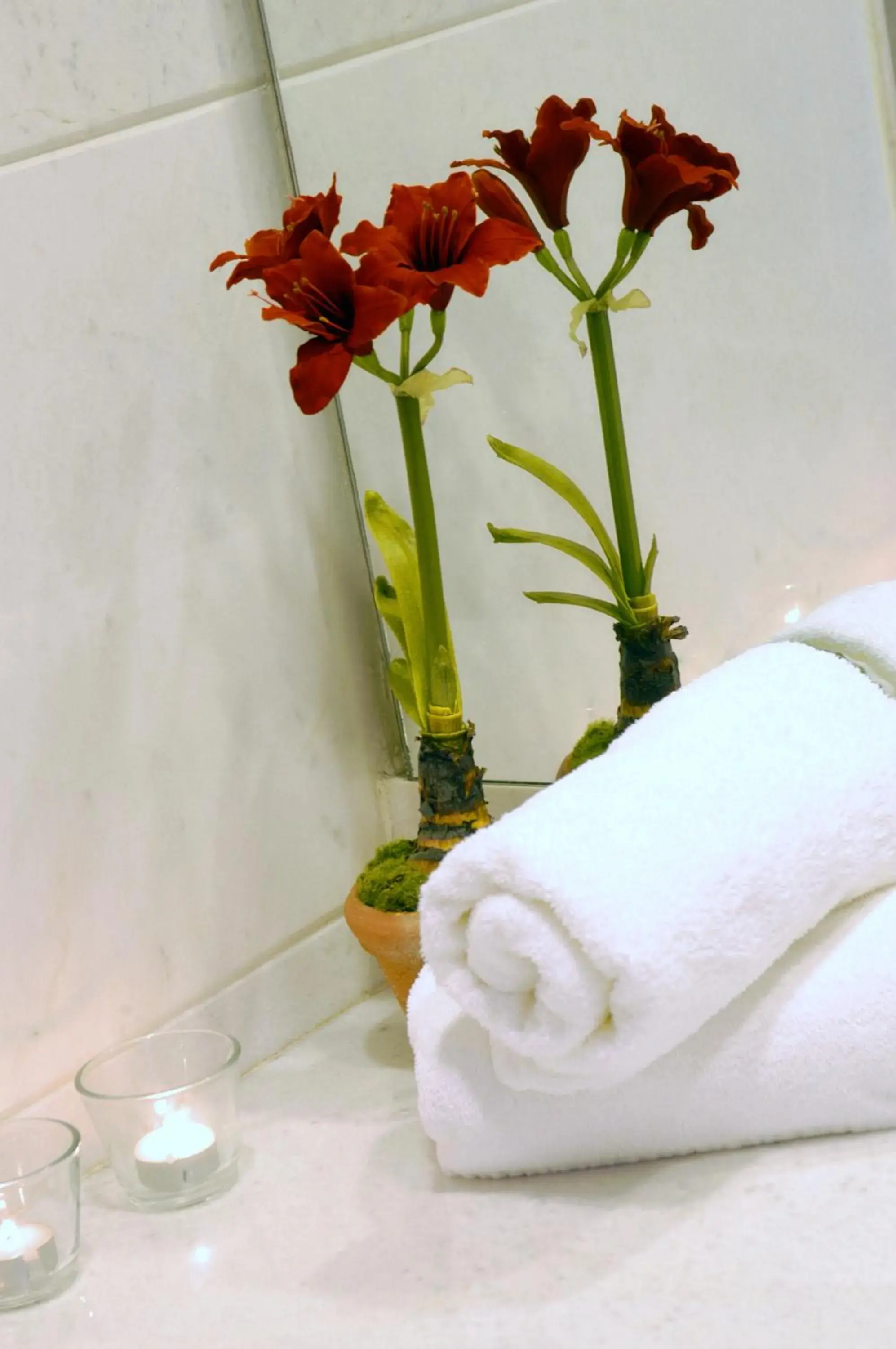 Economy Family Room in Limneon Resort & Spa Economy Family Room in Limneon Resort & Spa