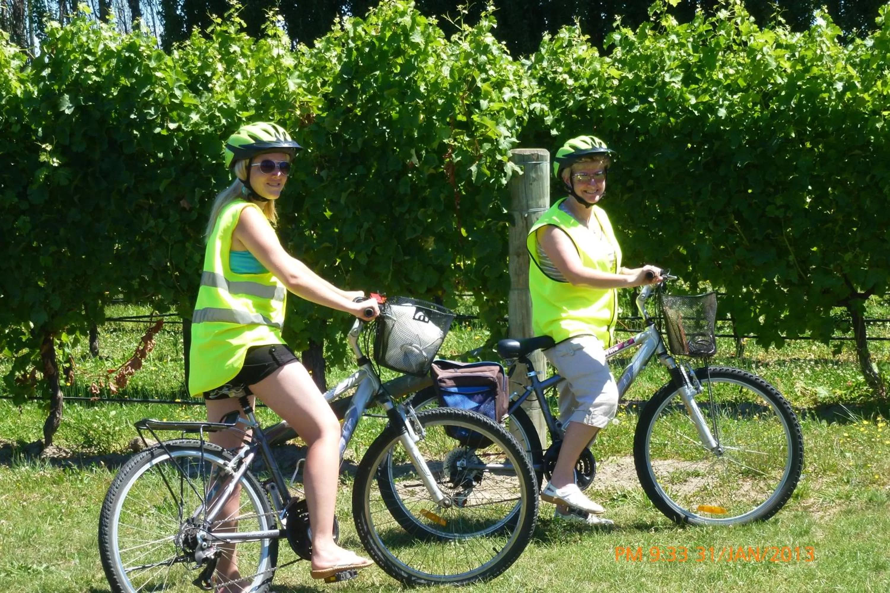Activities in Olde Mill House B&B & Bike2Wine cycle hire