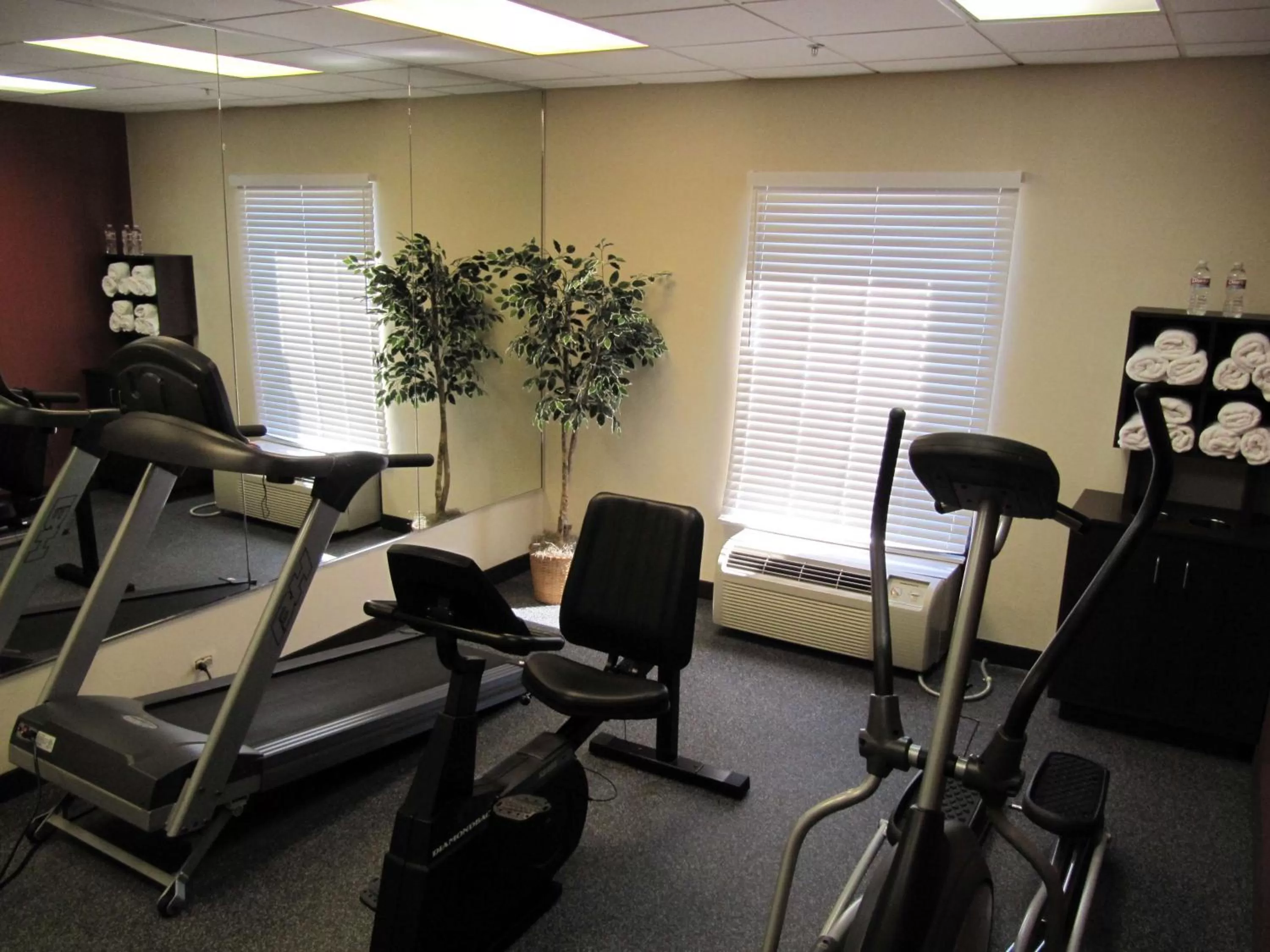 Fitness centre/facilities in Hampton Inn Lindale/Tyler