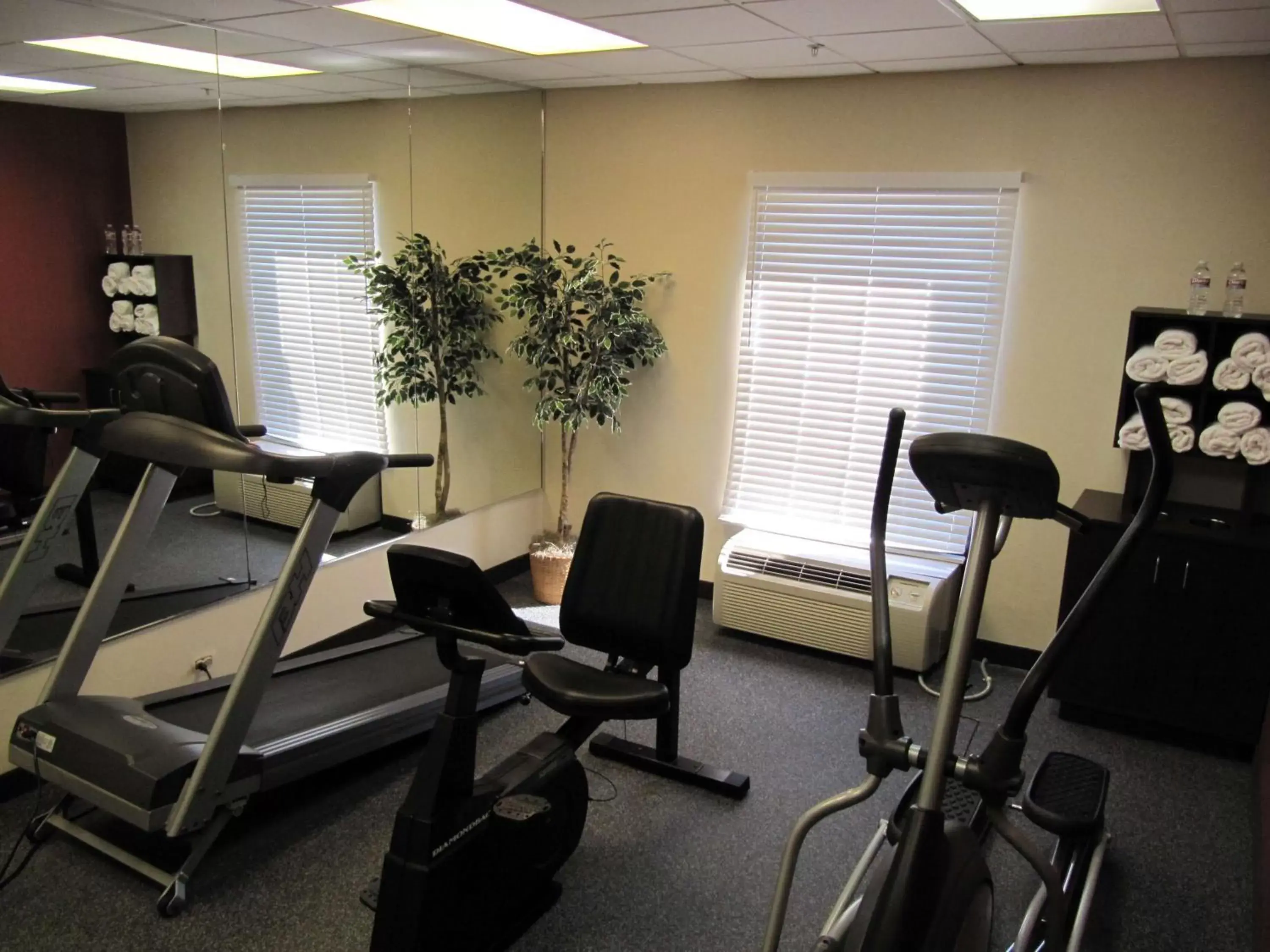 Fitness centre/facilities, Fitness Center/Facilities in Hampton Inn Lindale/Tyler
