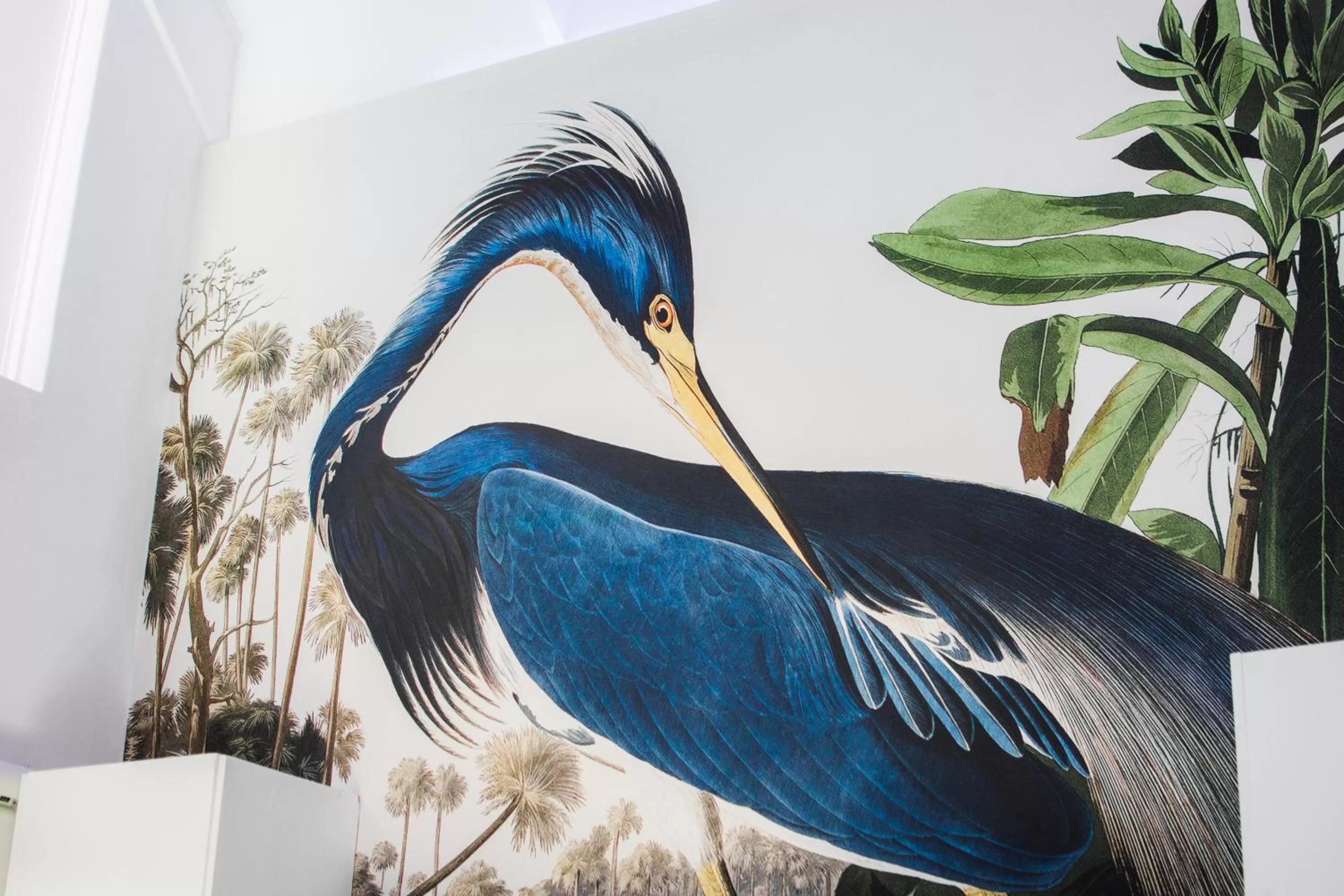 Spa and wellness centre/facilities in Vida Nova Retreat