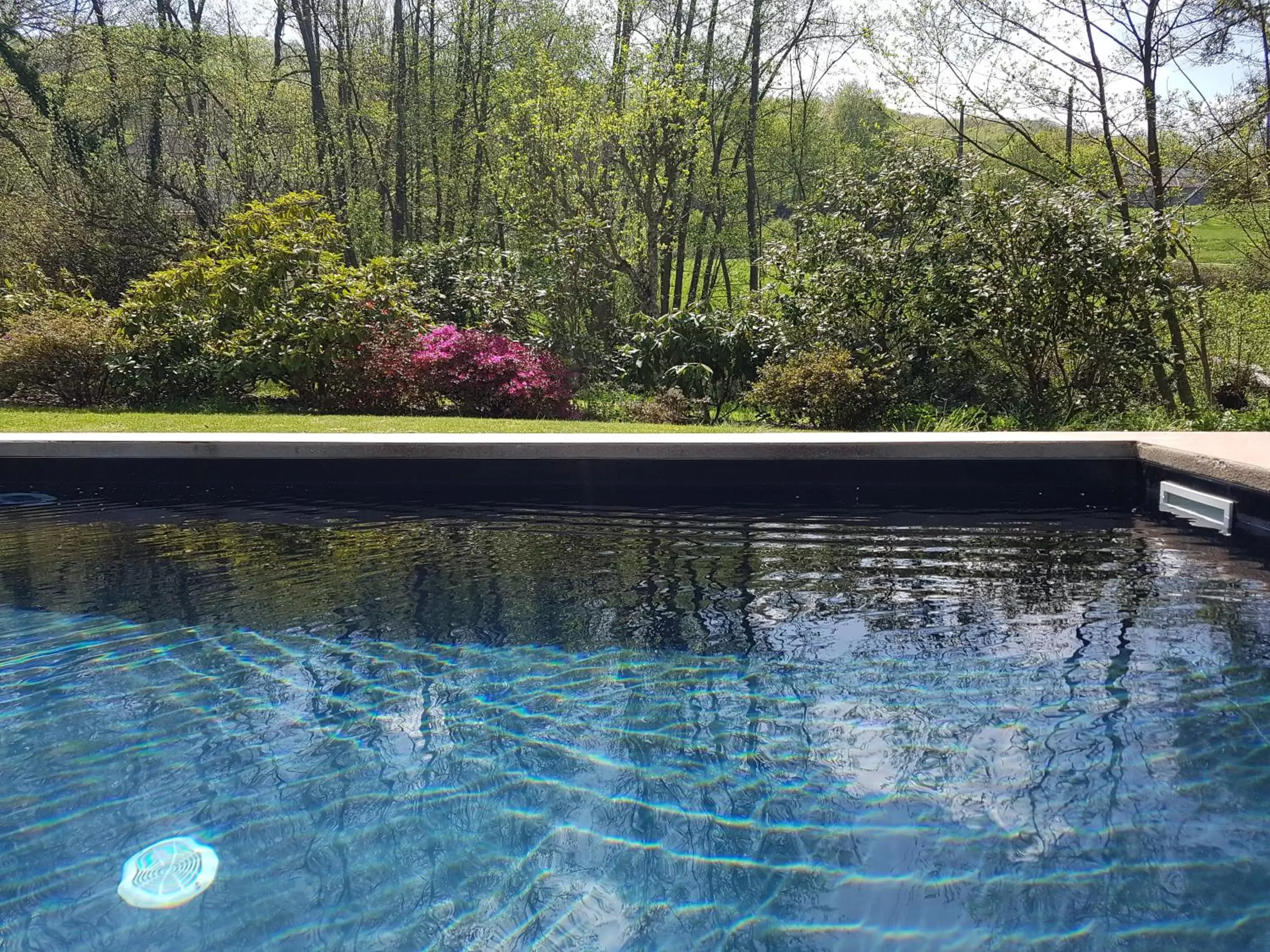 Swimming Pool in Moulin Renaudiots - Maison d'hôtes