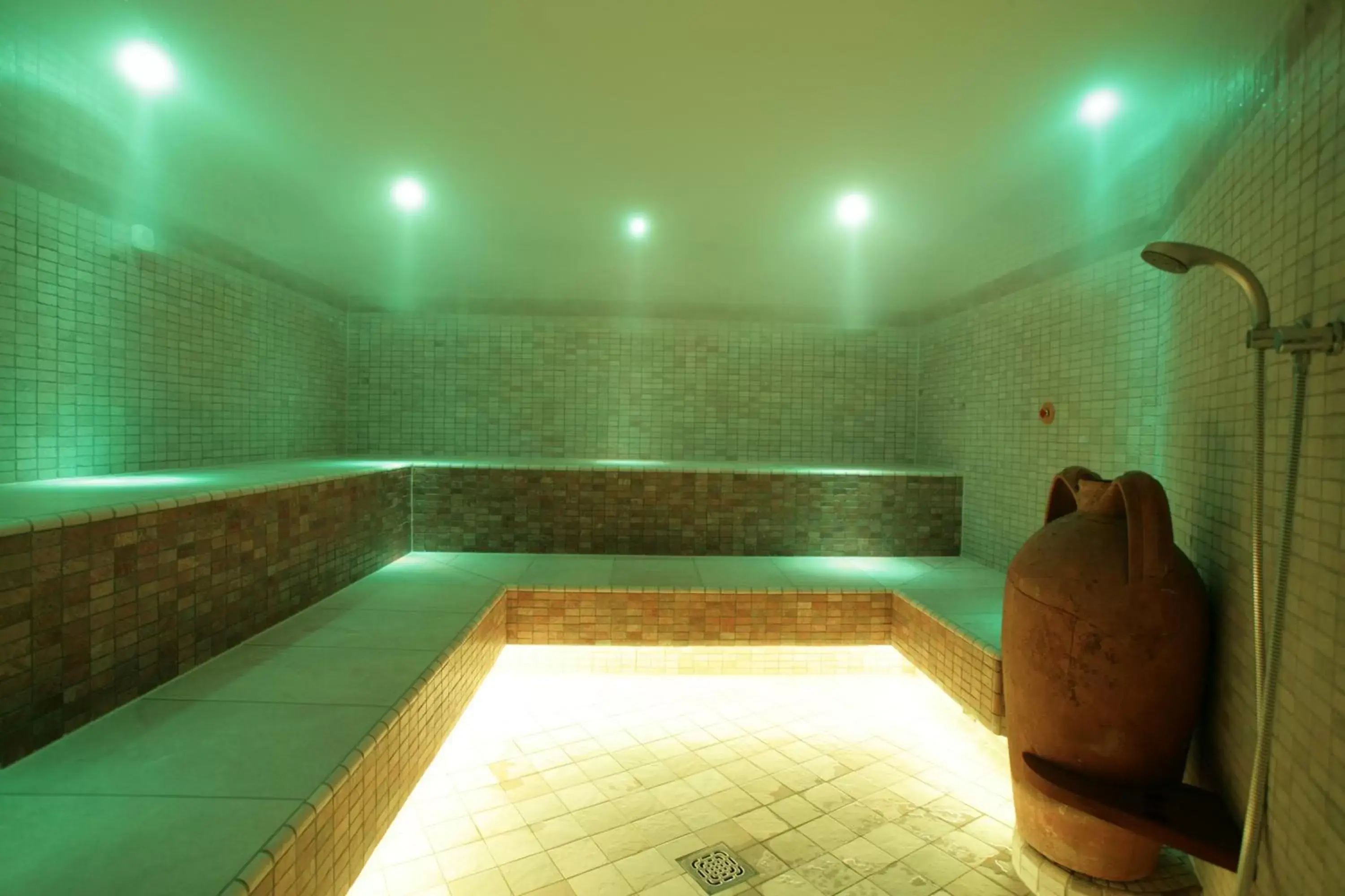 Spa and wellness centre/facilities in Hotel Garden Terme