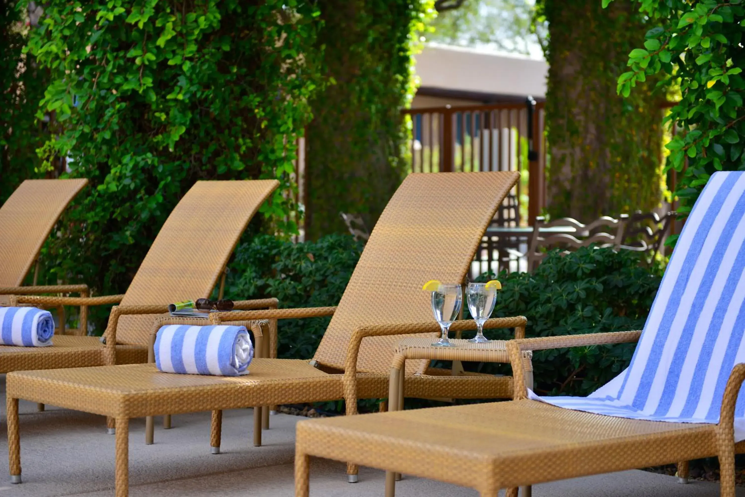 sunbed in Lodge On The Desert