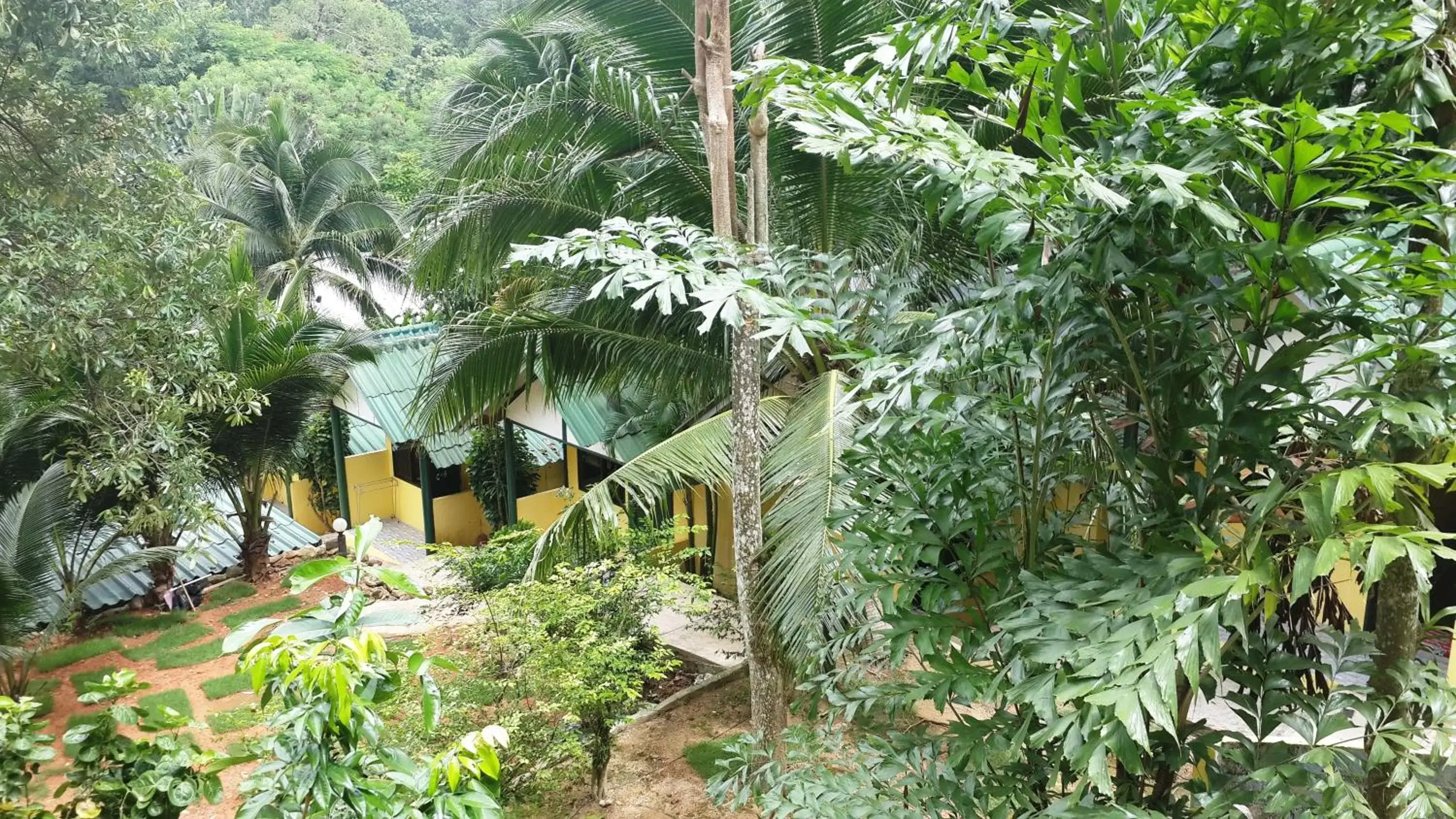 Day, Property Building in Island Lodge