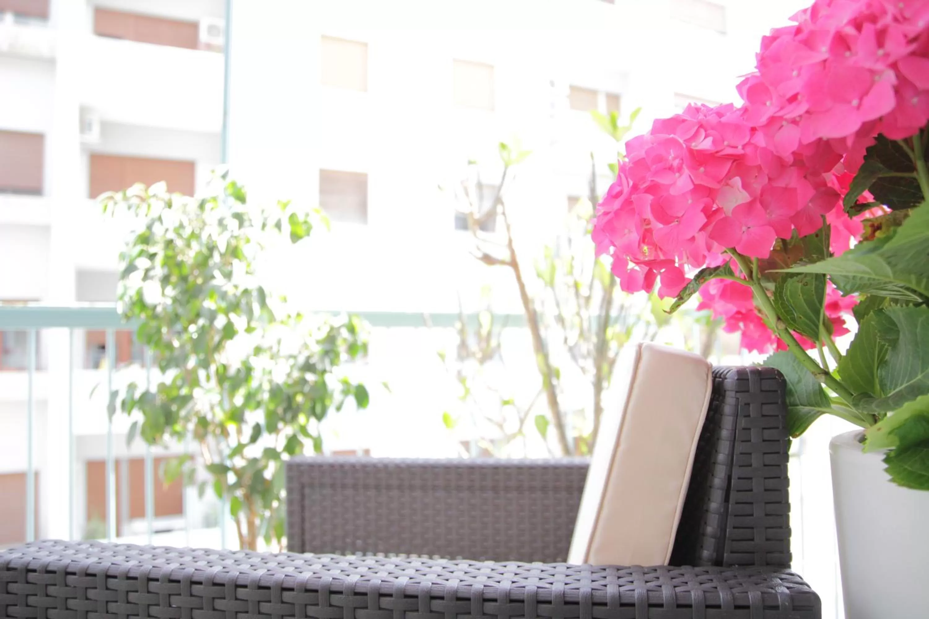 120 Rodionoff Centro- Eleganza e Facilità di Accesso a Aeroporto e Spiaggia Mondello