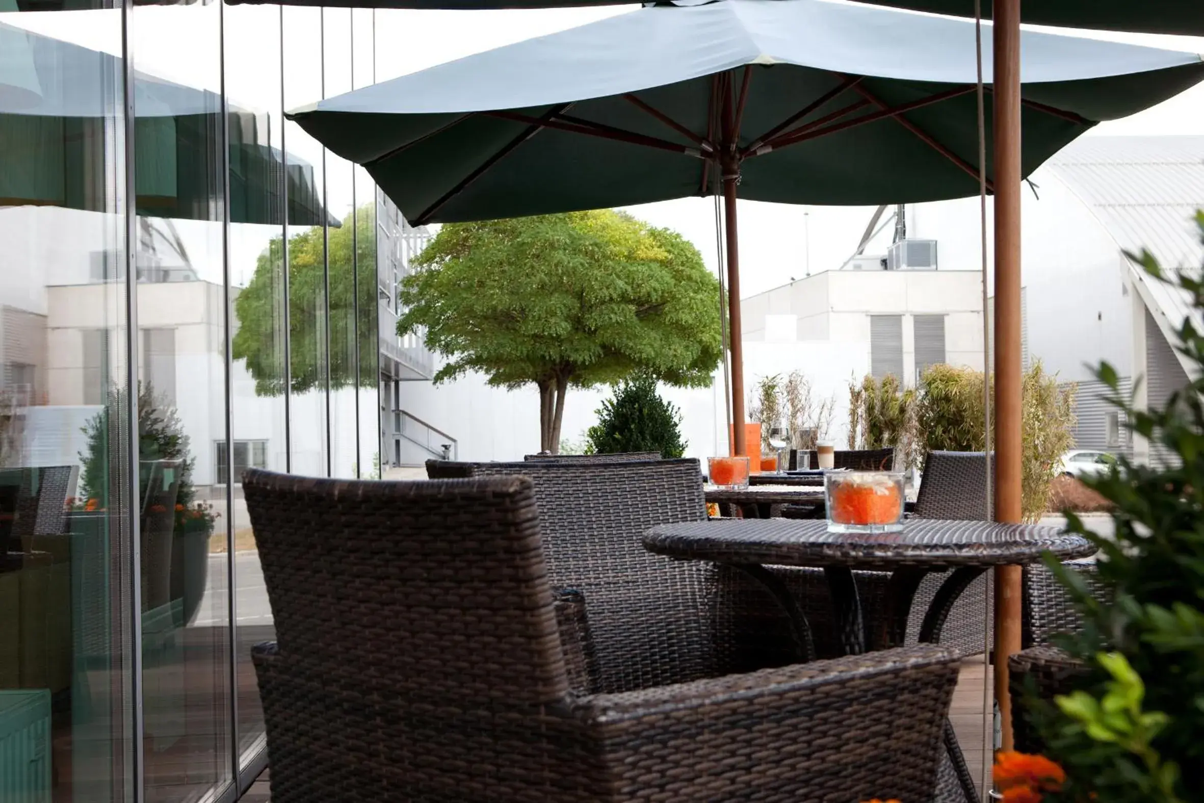 Balcony/Terrace in Orange Wings Wiener Neustadt