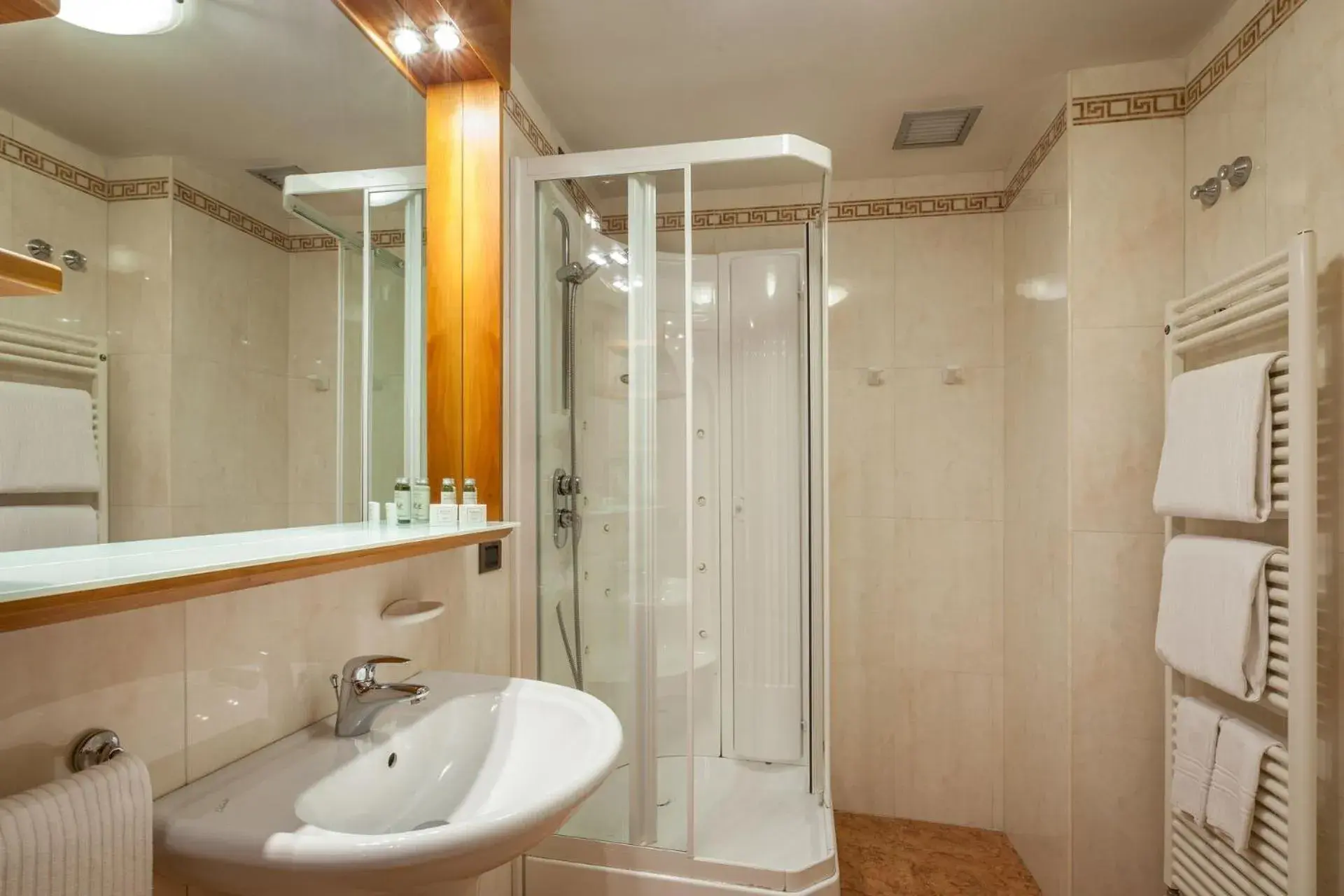 Shower, Bathroom in Best Western Hotel Canon d'Oro