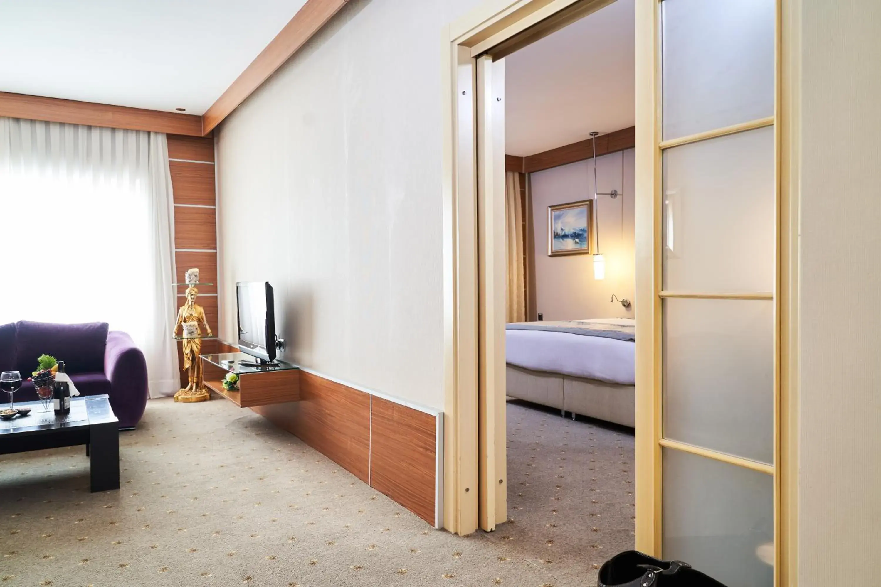 TV and multimedia in Anadolu Hotels Esenboga Thermal