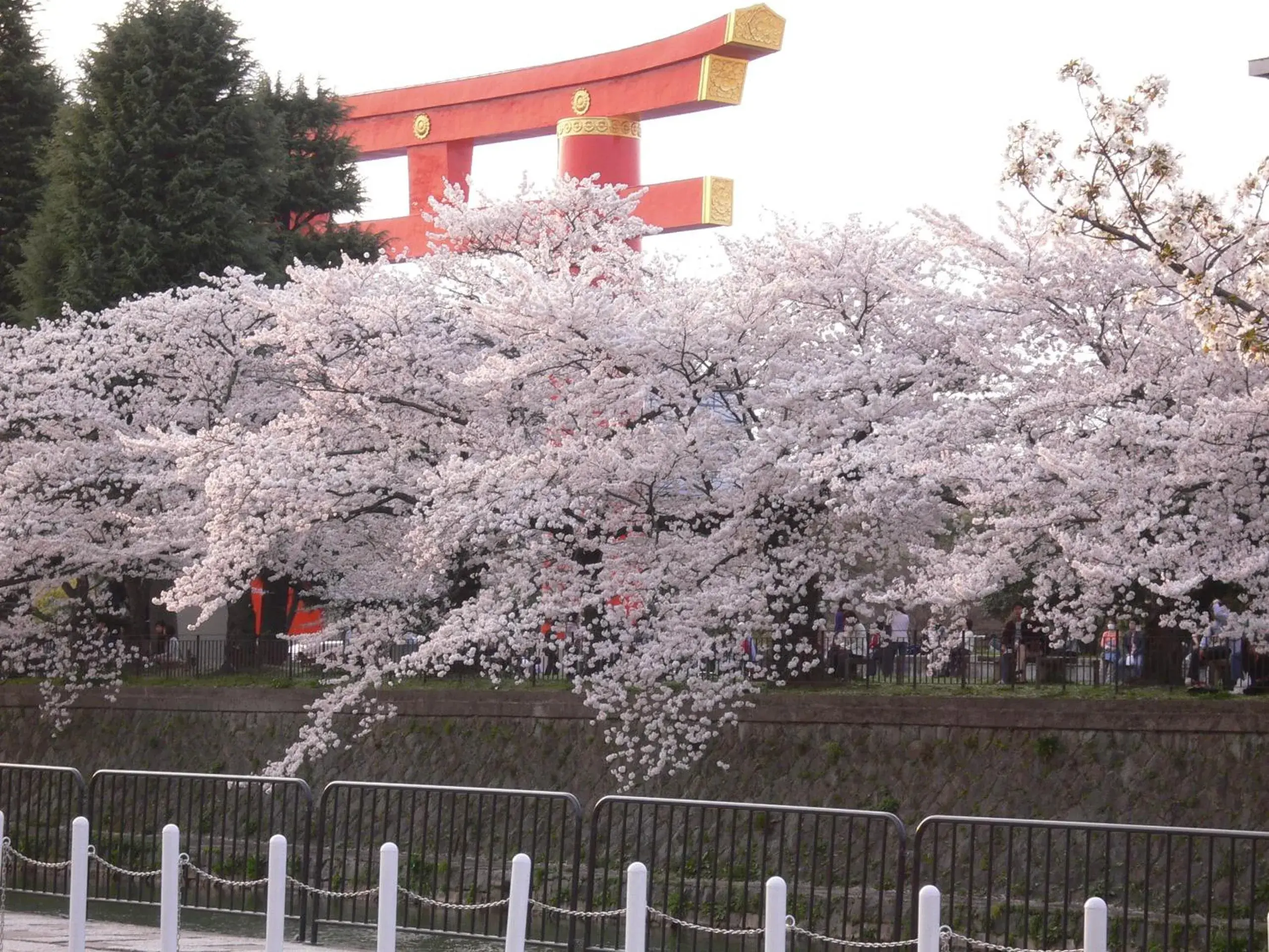 Area and facilities in Kyoto Travellers Inn