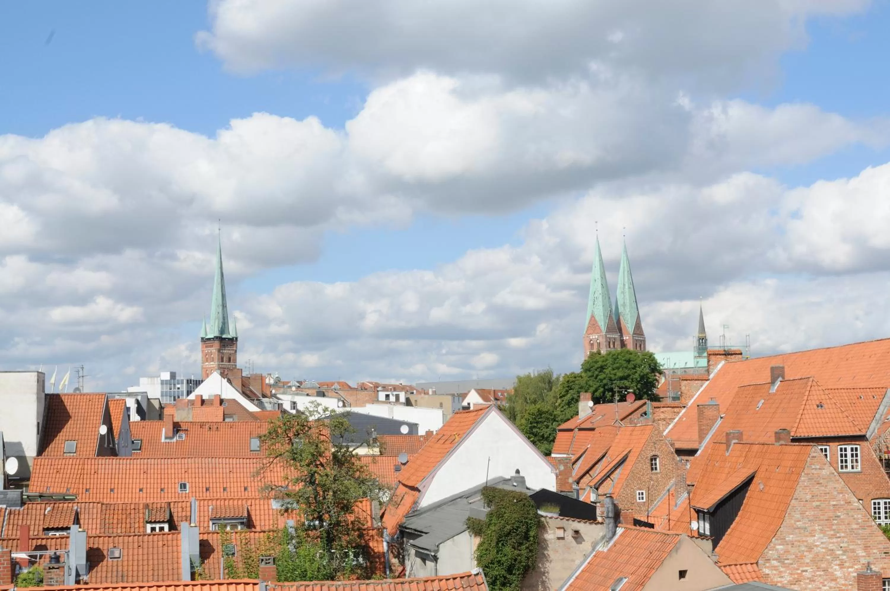 Area and facilities in Hotel zur alten Stadtmauer