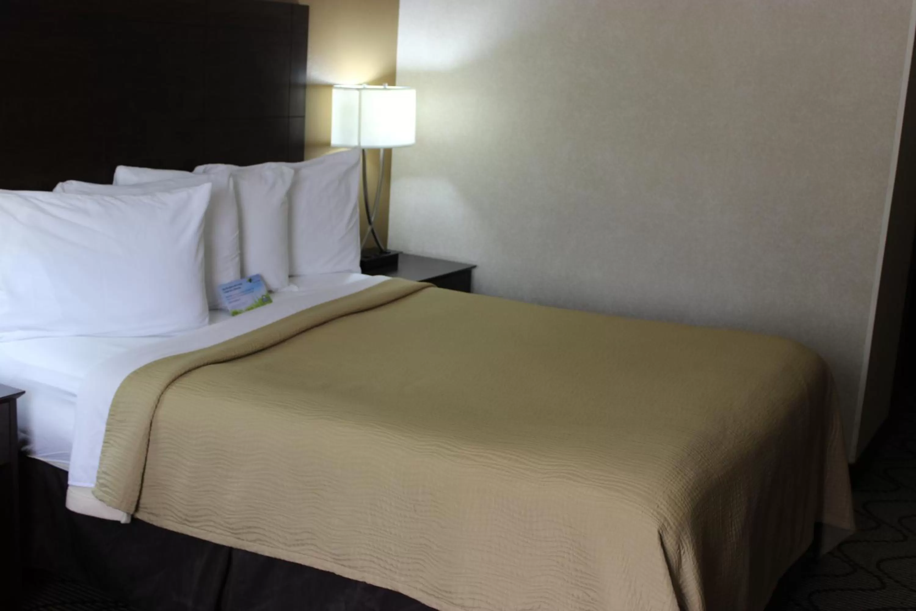 Bed in Days Inn by Wyndham Columbia Mall