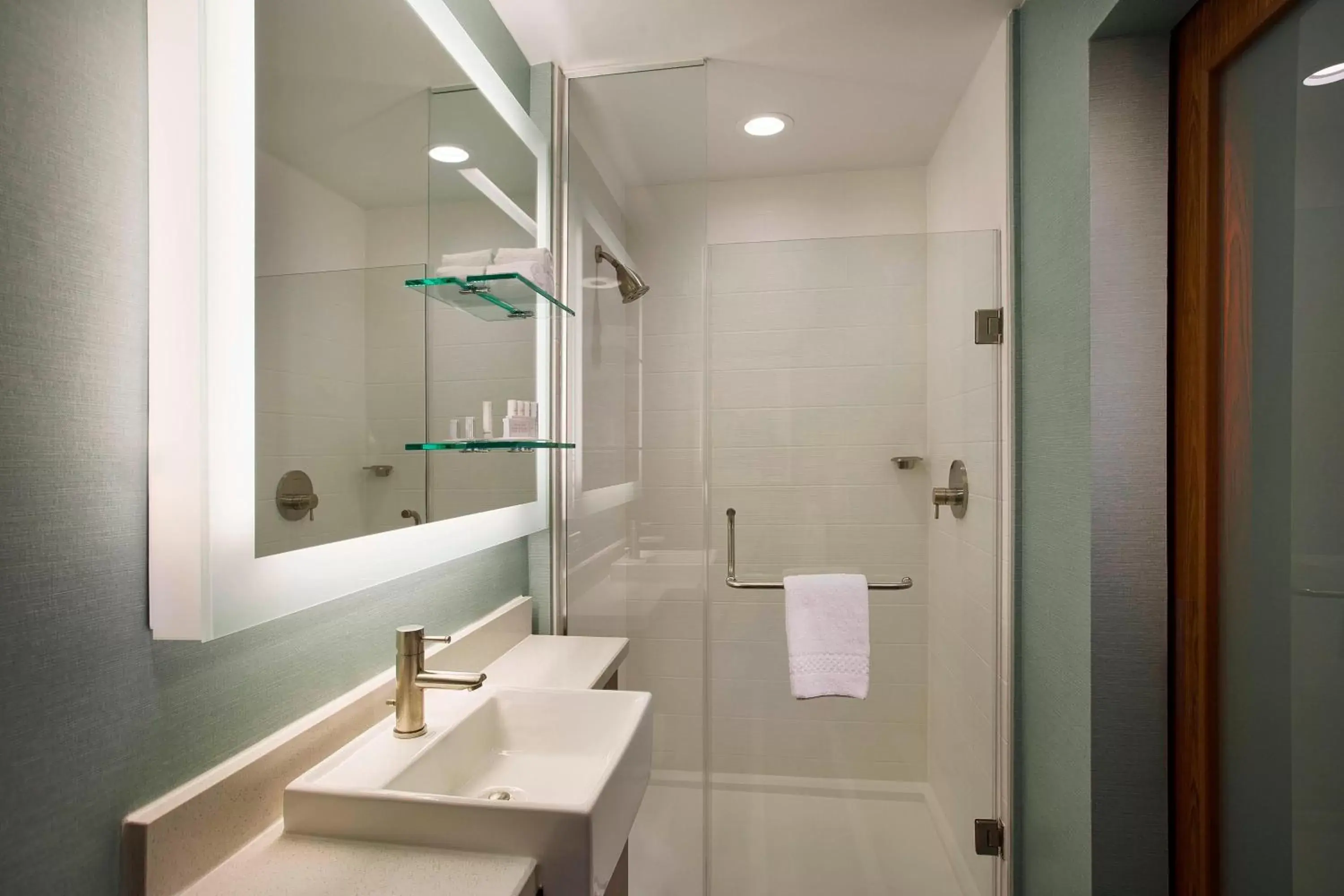 Bathroom in SpringHill Suites by Marriott Houston Downtown/Convention Center