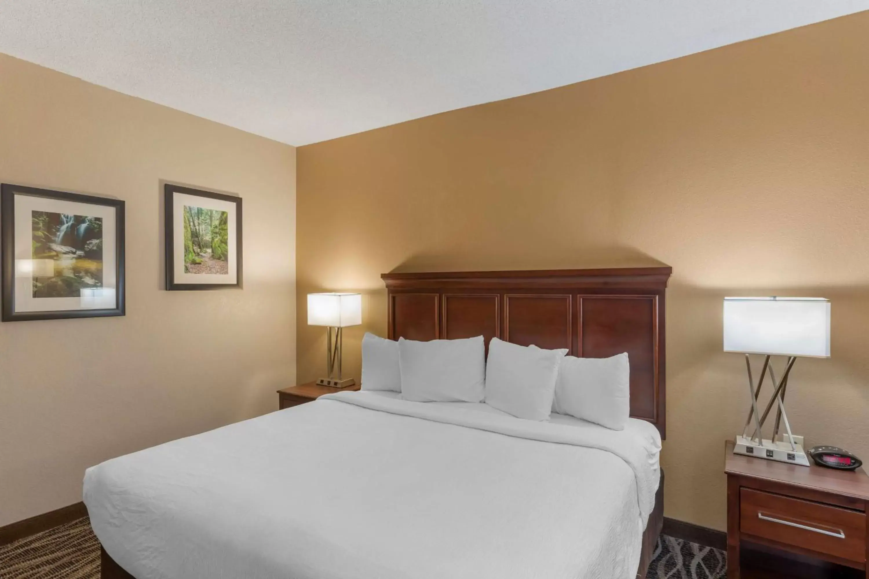 Bedroom, Bed in Best Western Plus Russellville Hotel & Suites