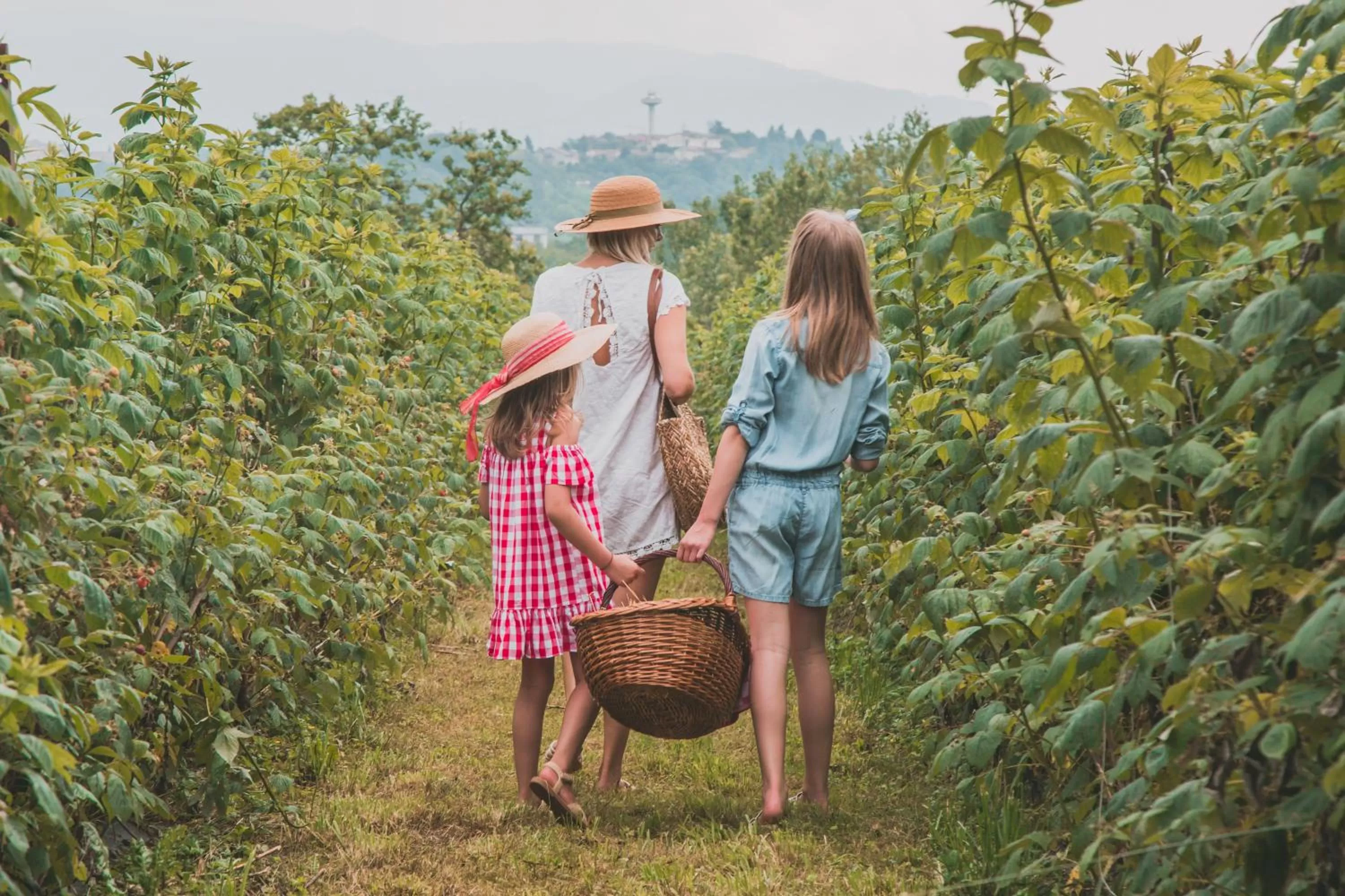 Natural landscape in La Casa del Mulino