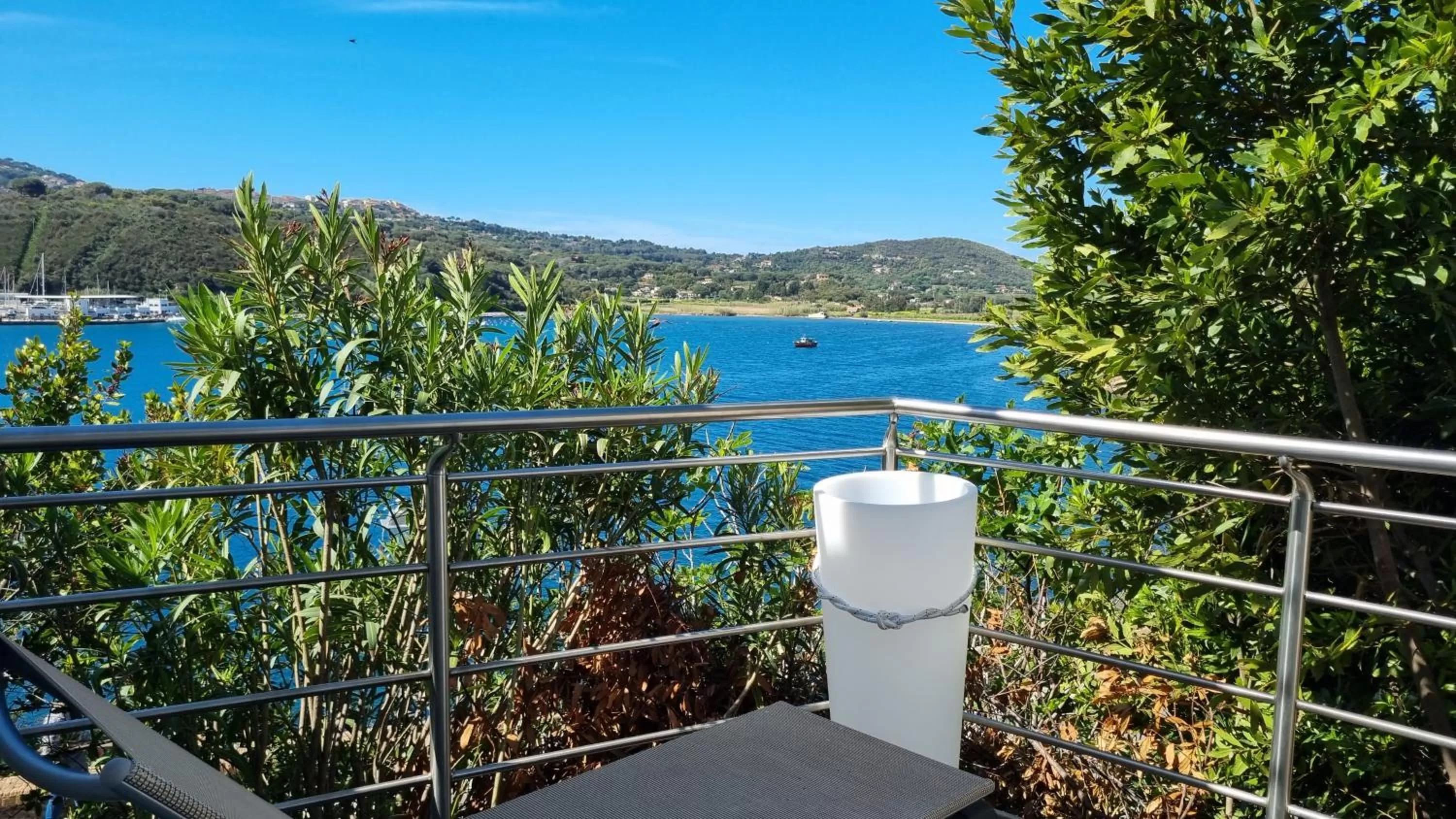 View (from property/room) in Hotel Plaza