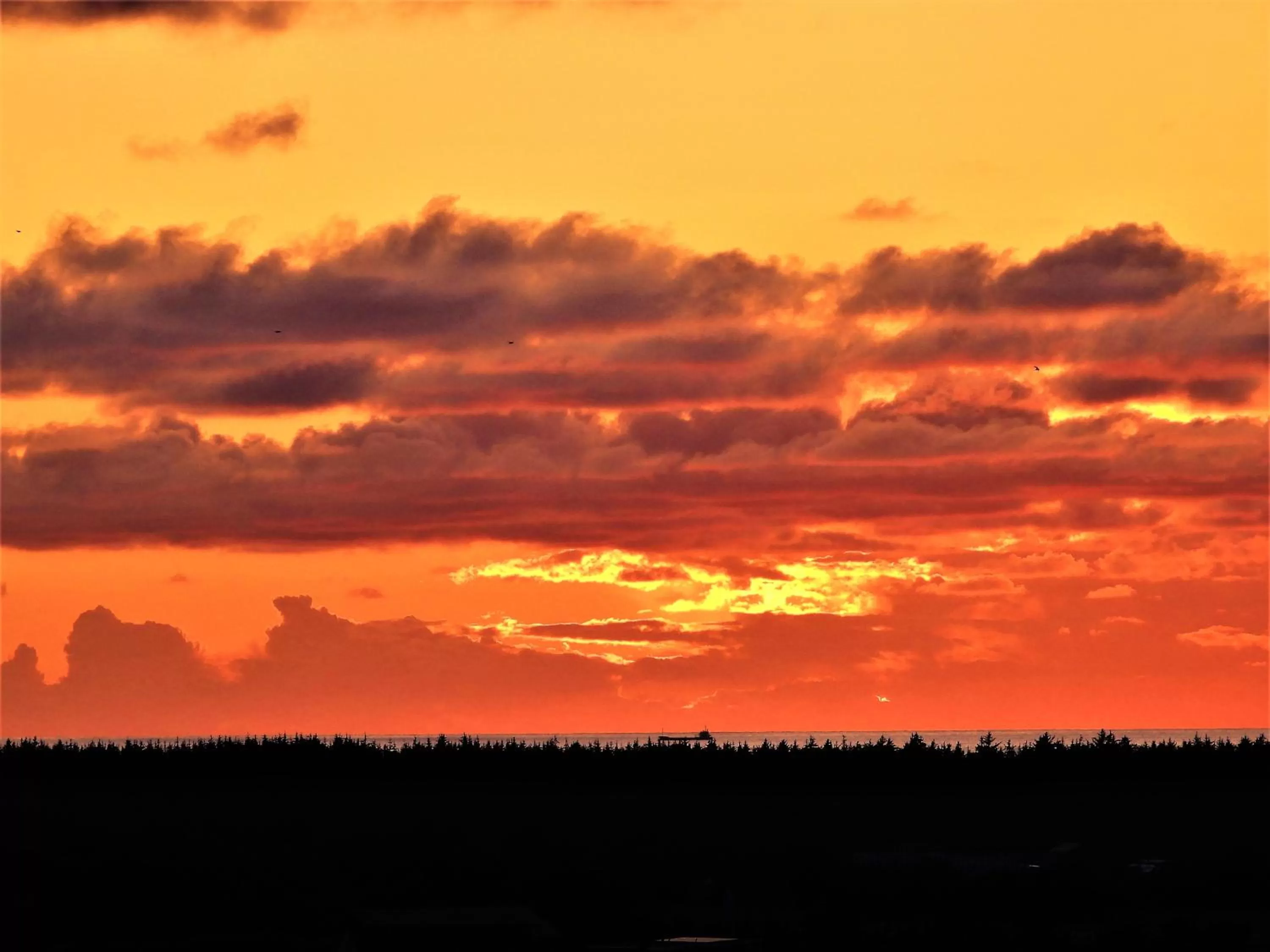 Sea view in Engbjerg BnB