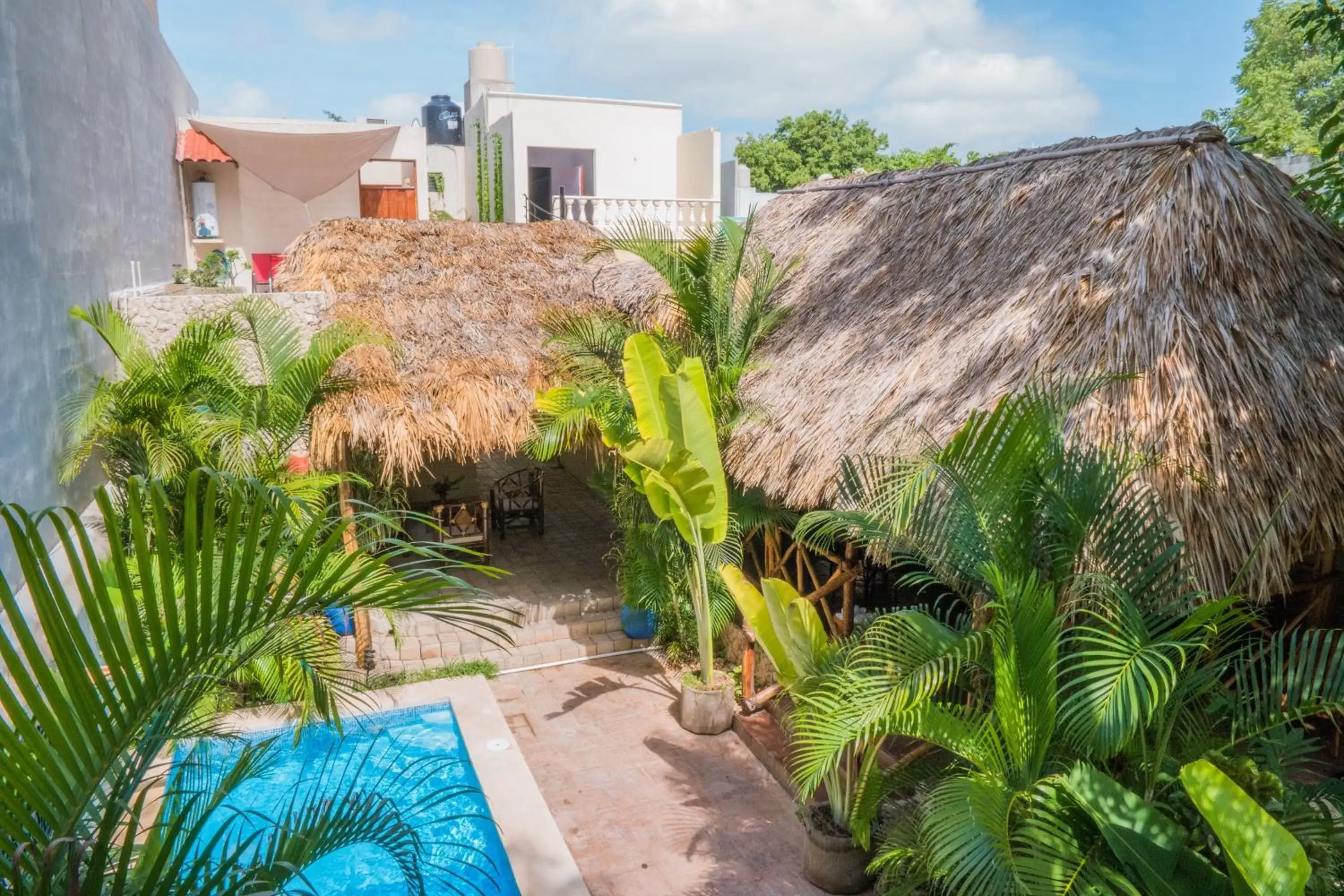 Bird's eye view, Swimming Pool in Casa Del Maya Bed & Breakfast