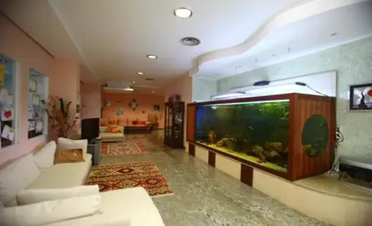 Hotel Acquario