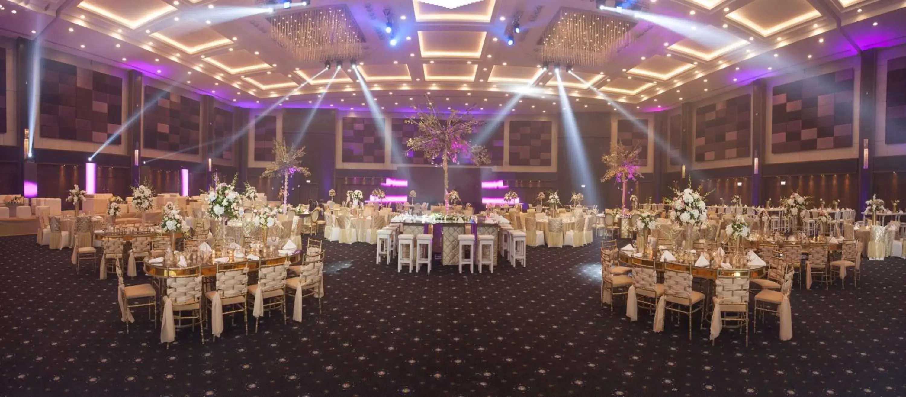 Other, Banquet Facilities in Radisson Blu Hotel Alexandria