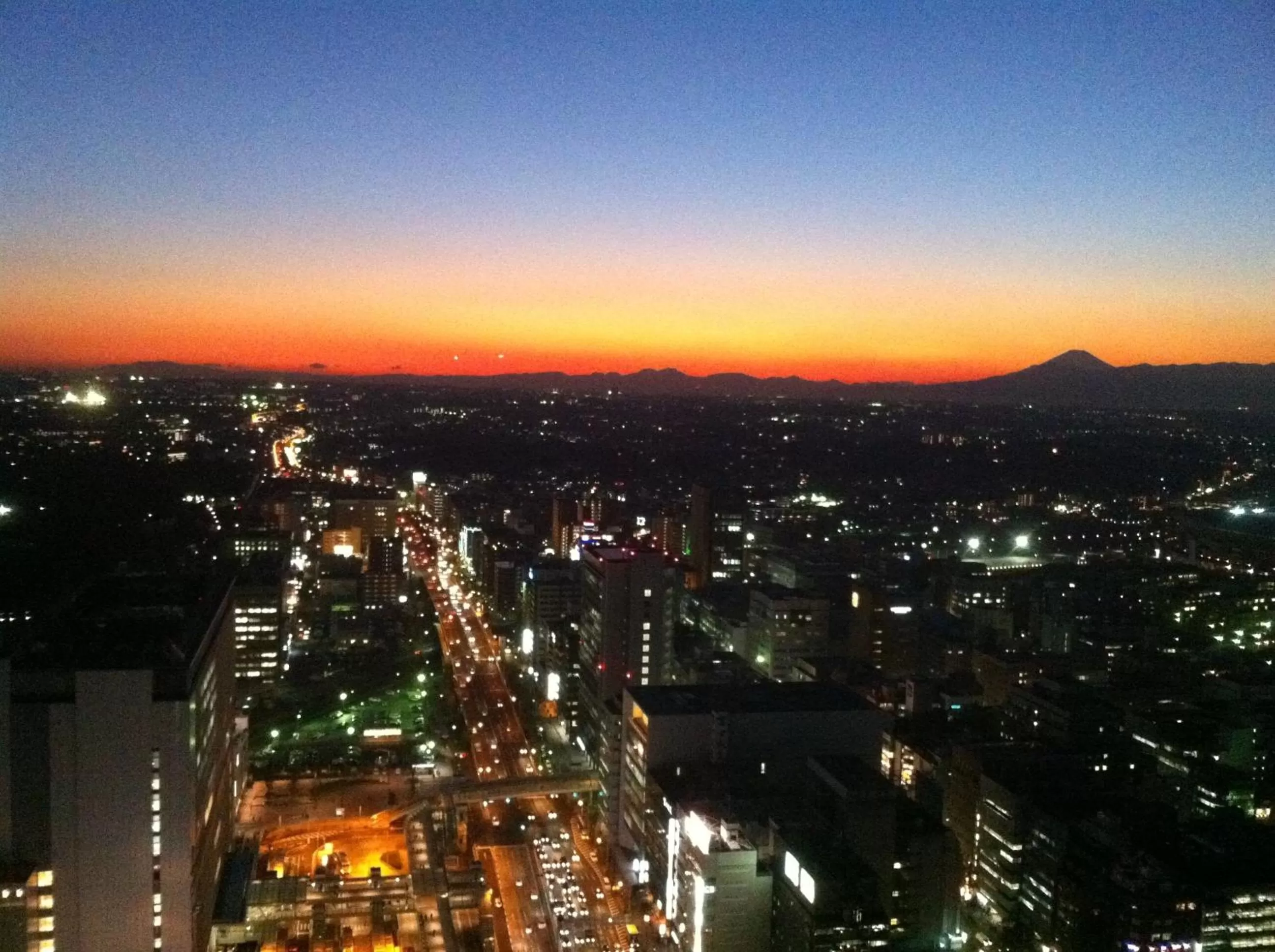 View (from property/room) in Shin Yokohama Prince Hotel